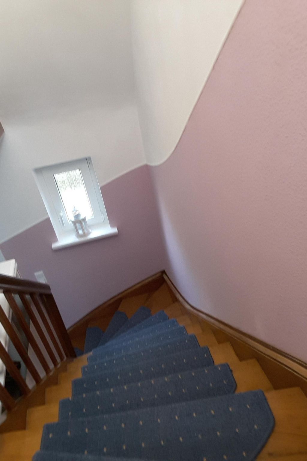 Erholung pur: Nordsee-Urlaub mit Hund-Binnen