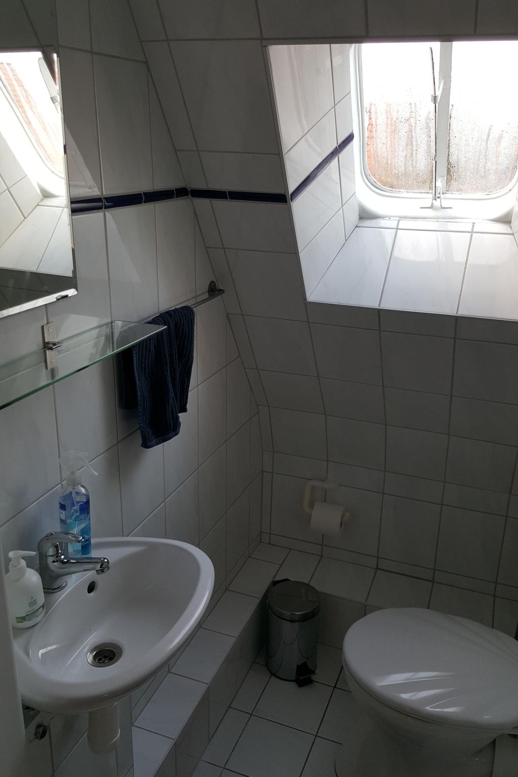 Erholung pur: Nordsee-Urlaub mit Hund-Binnen