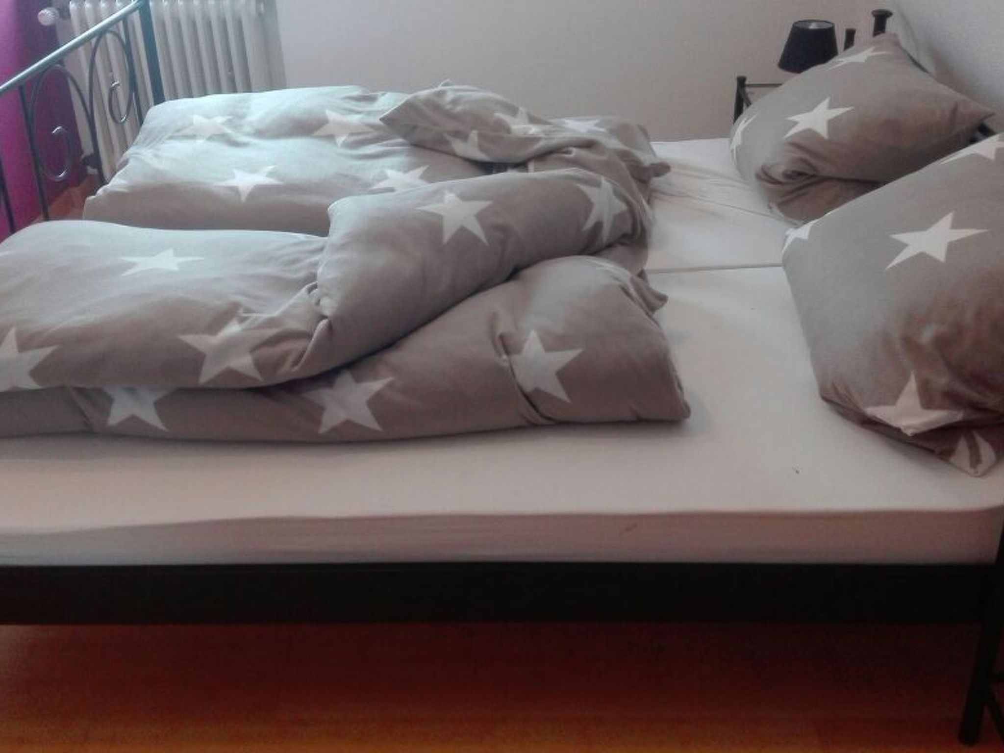 Erholung pur: Nordsee-Urlaub mit Hund-Binnen