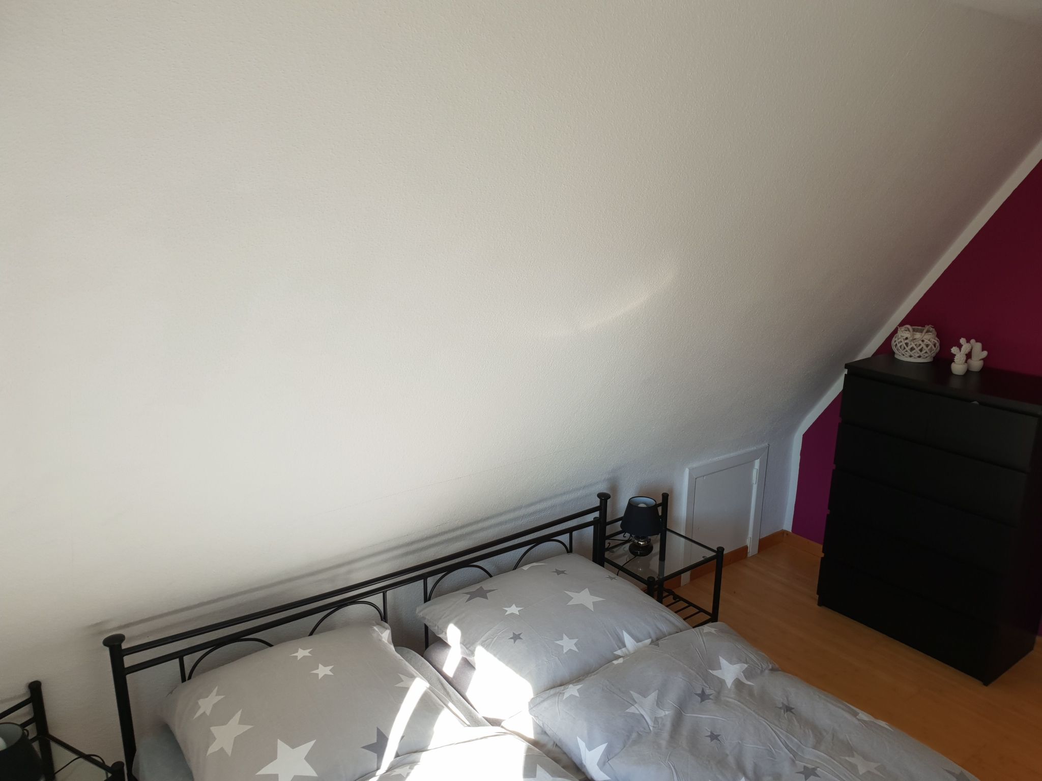 Erholung pur: Nordsee-Urlaub mit Hund-Binnen