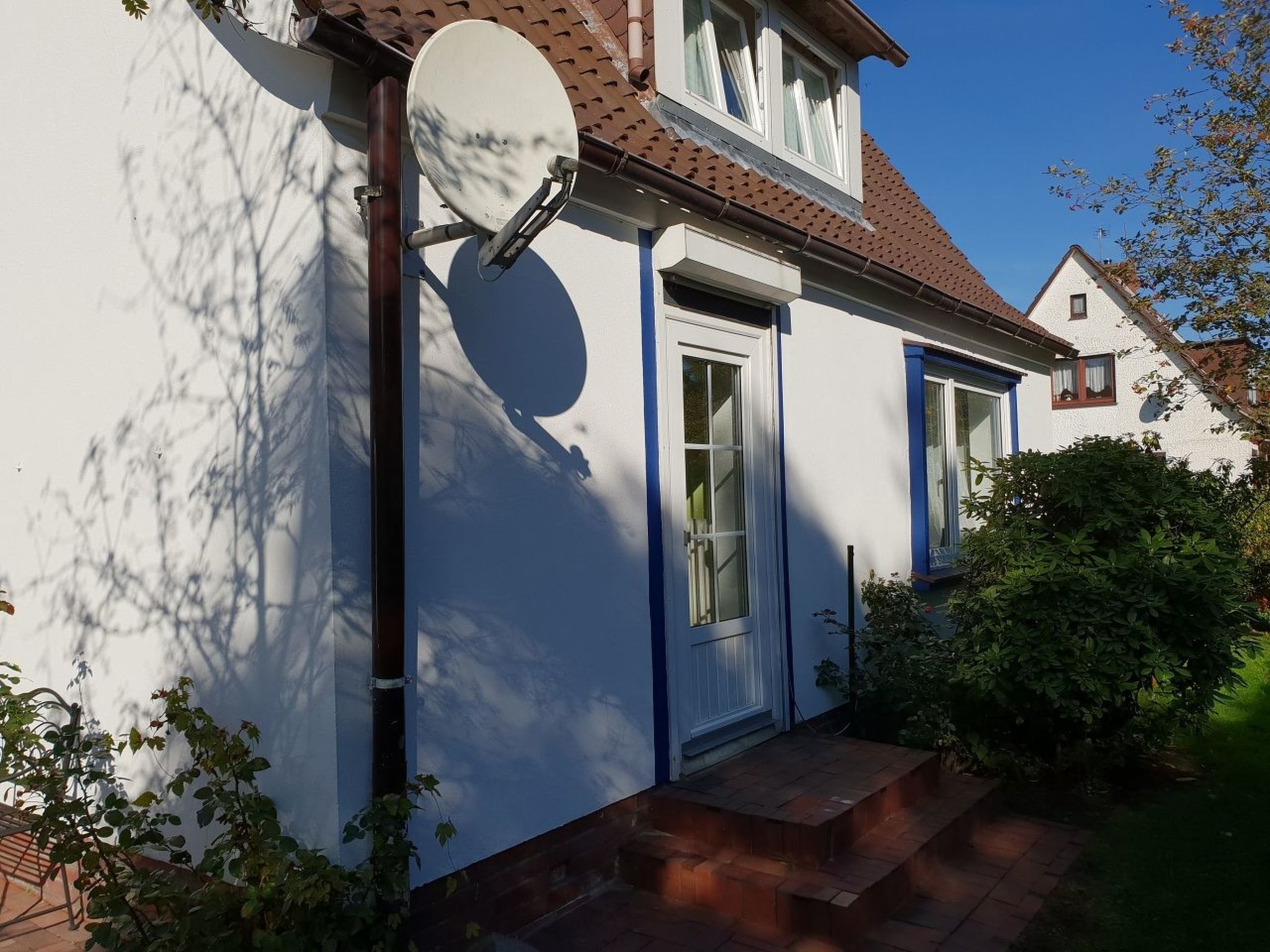 Erholung pur: Nordsee-Urlaub mit Hund-Binnen