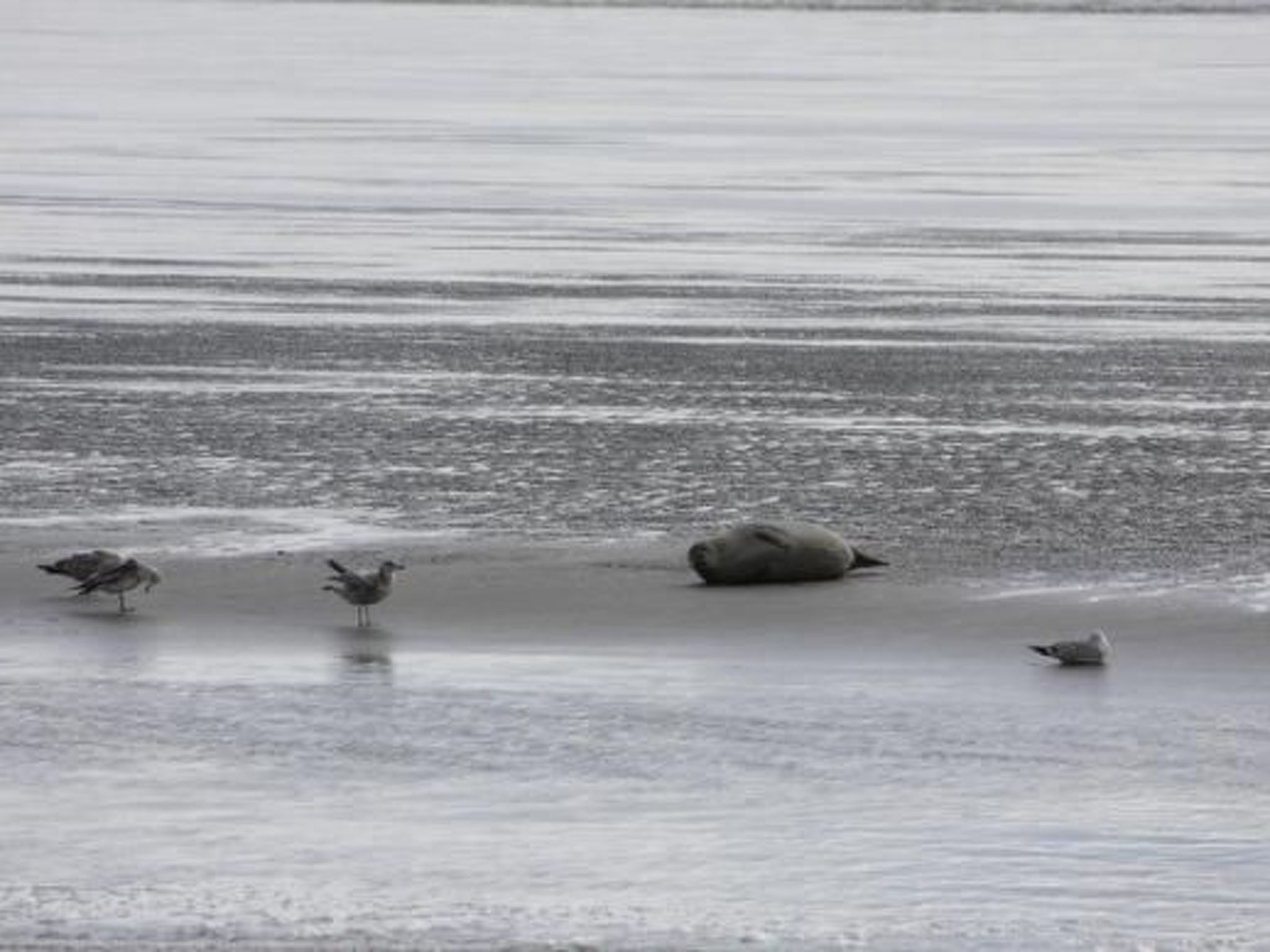 Wellnesshaus Seeperle - All Inklusive-Image-tags.info