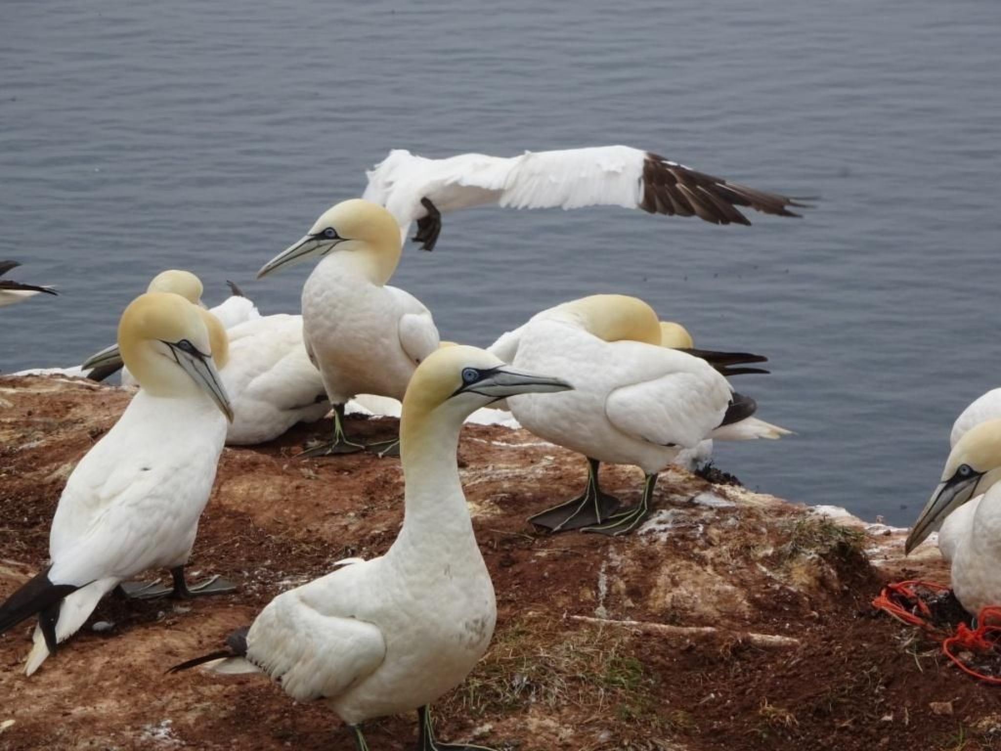 Wellnesshaus Seeperle - All Inklusive-Image-tags.info