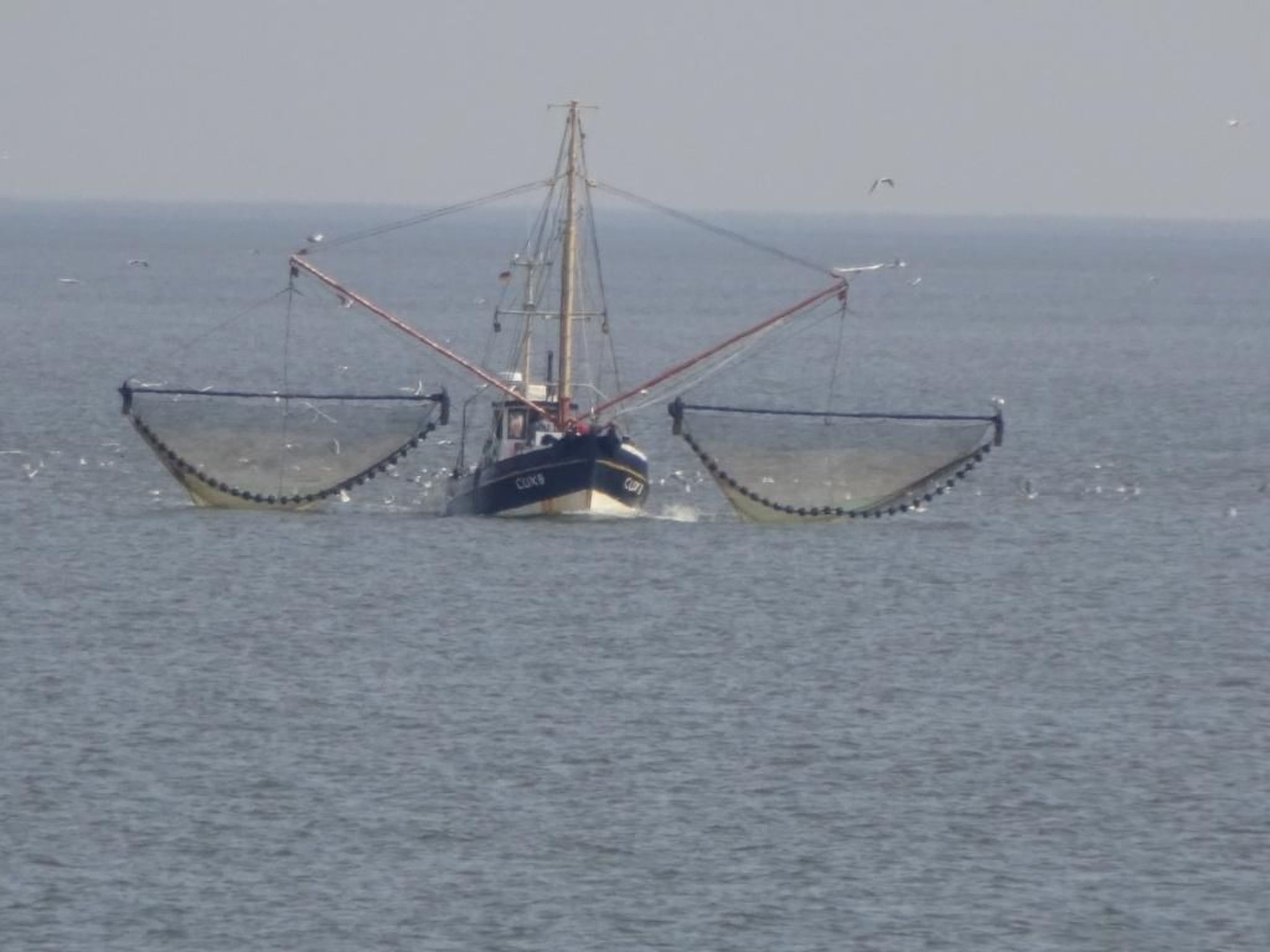 Wellnesshaus Seeperle - All Inklusive-Image-tags.info