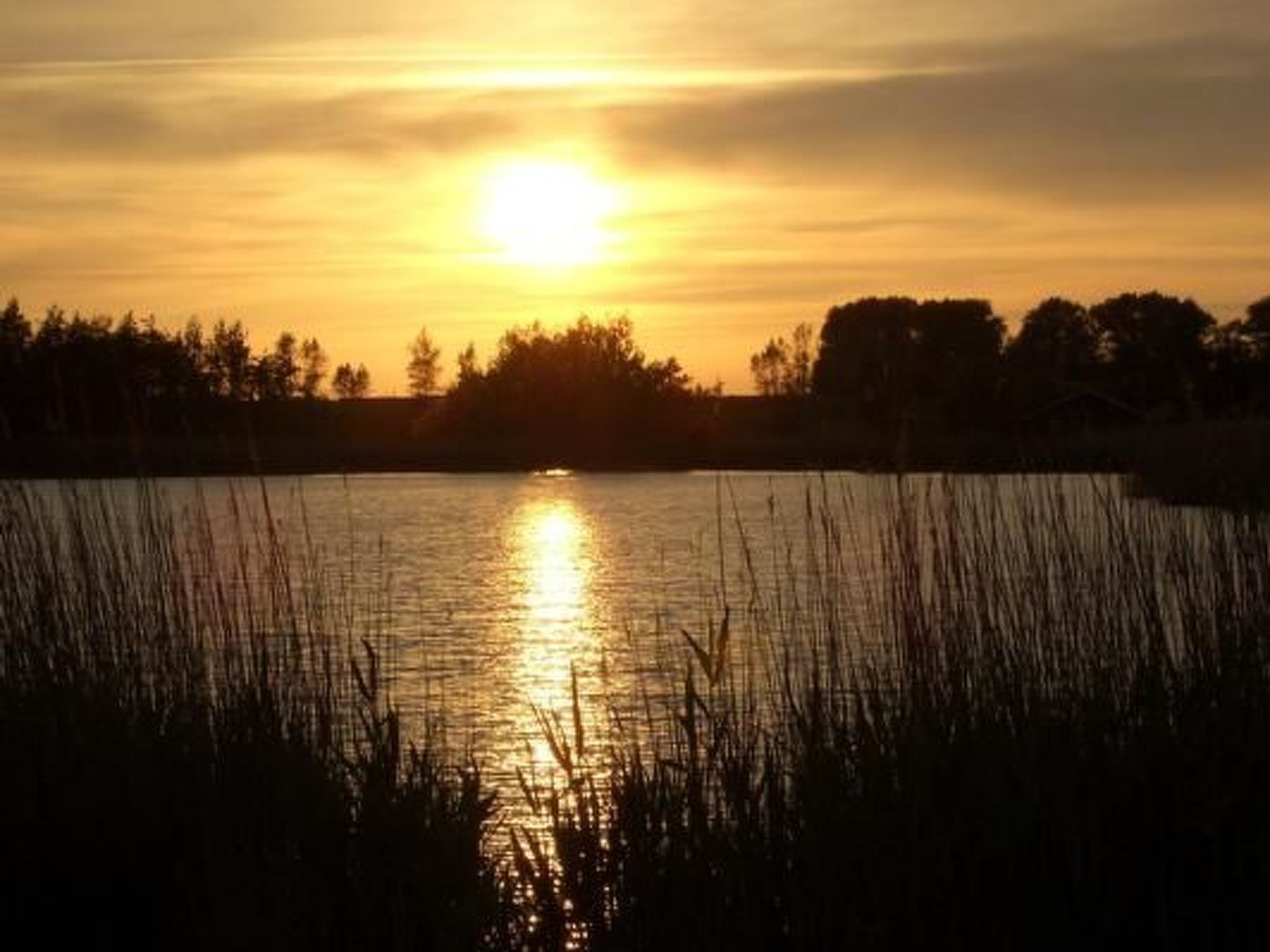 Wellnesshaus Seeperle - All Inklusive-Image-tags.info