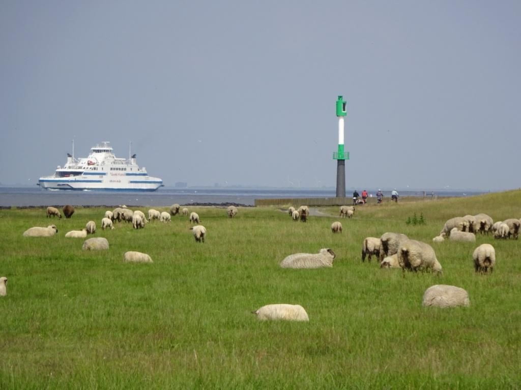 Haus Seestern-Image-tags.info