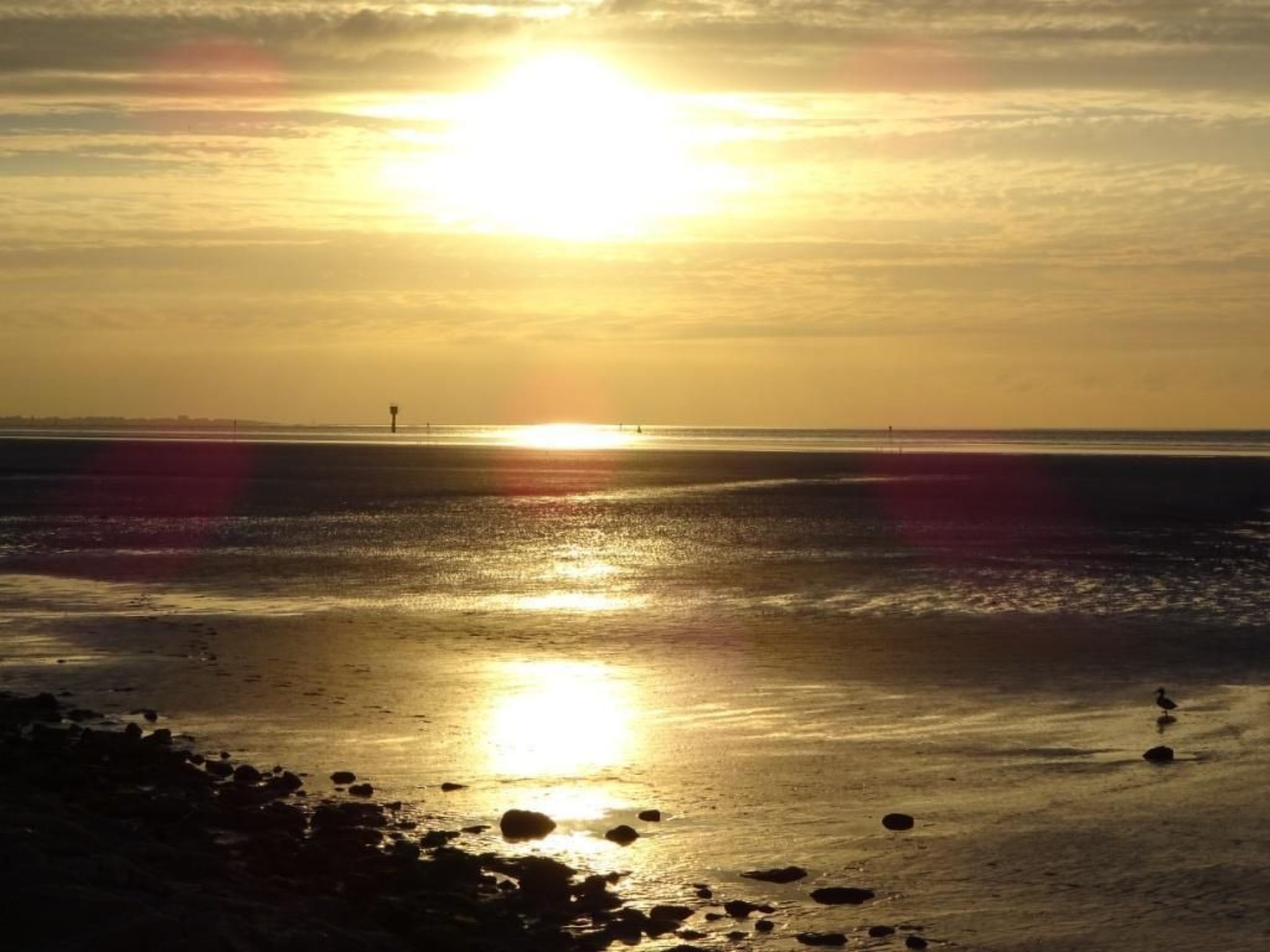 Haus Seestern-Image-tags.info