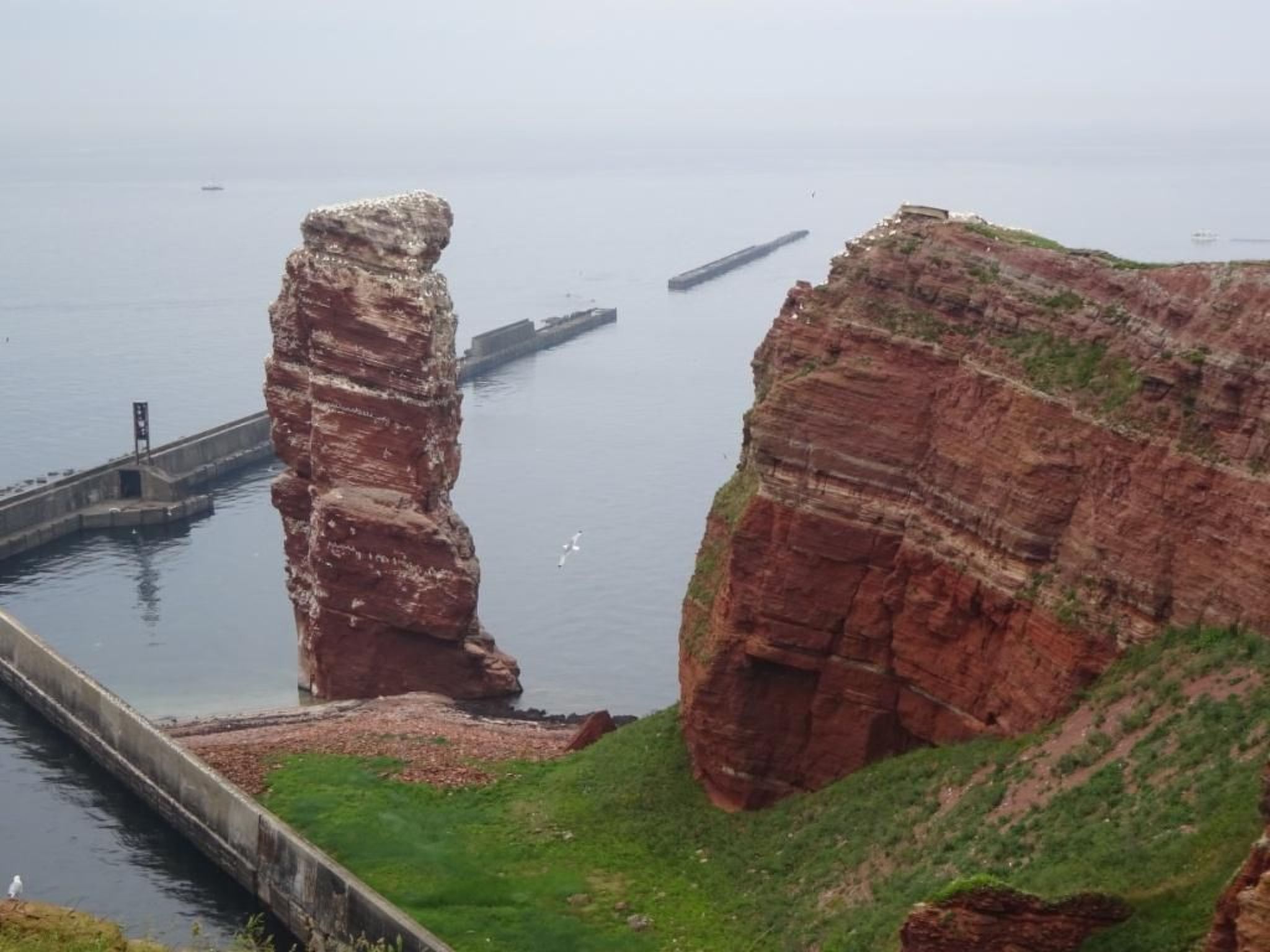 Haus Seestern-Image-tags.info