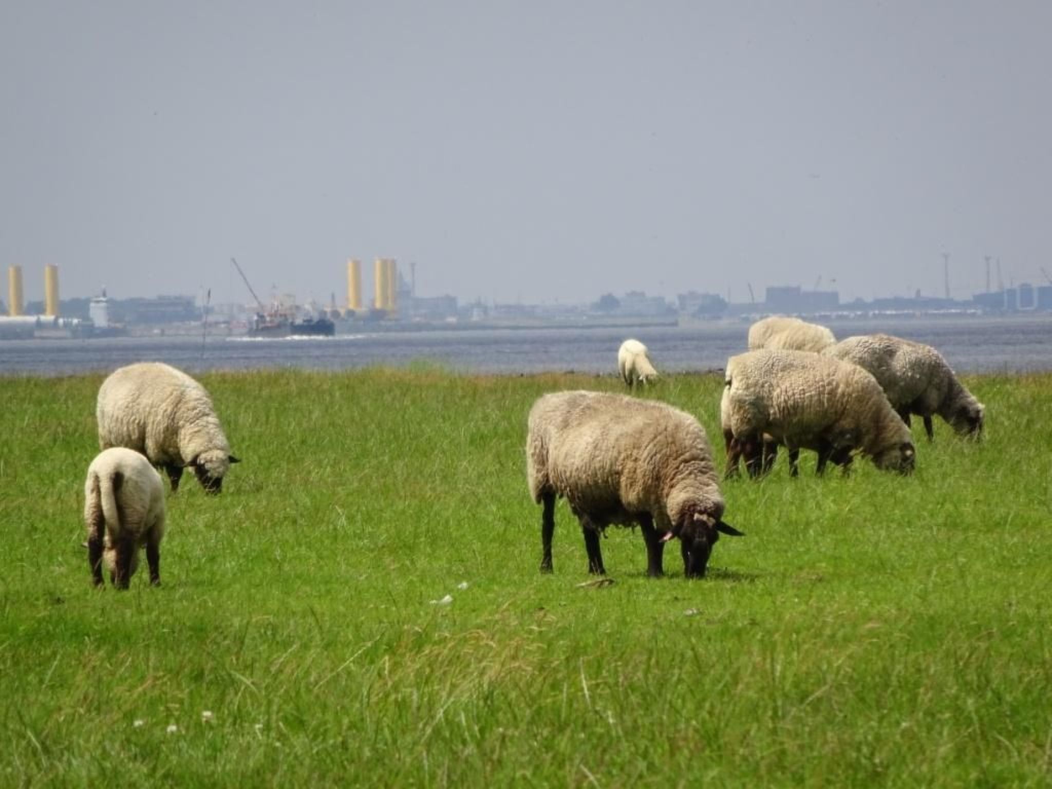 Haus Stella Maris mit Bootssteg - All Inklusive-Image-tags.info