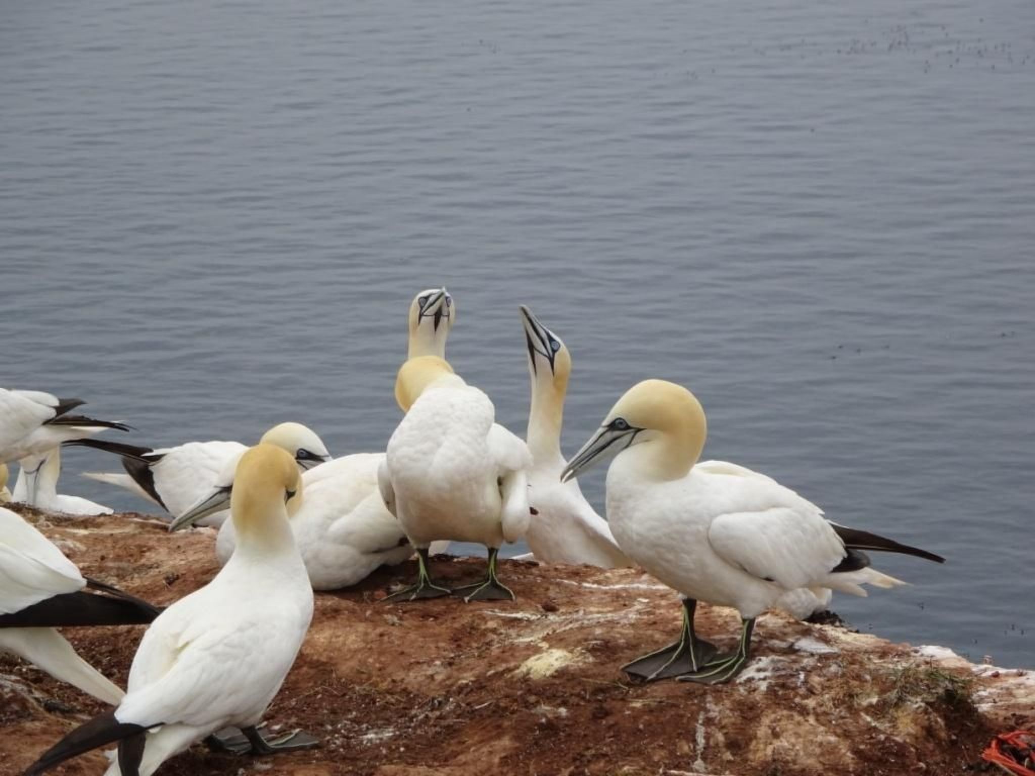 Haus Stella Maris mit Bootssteg - All Inklusive-Image-tags.info