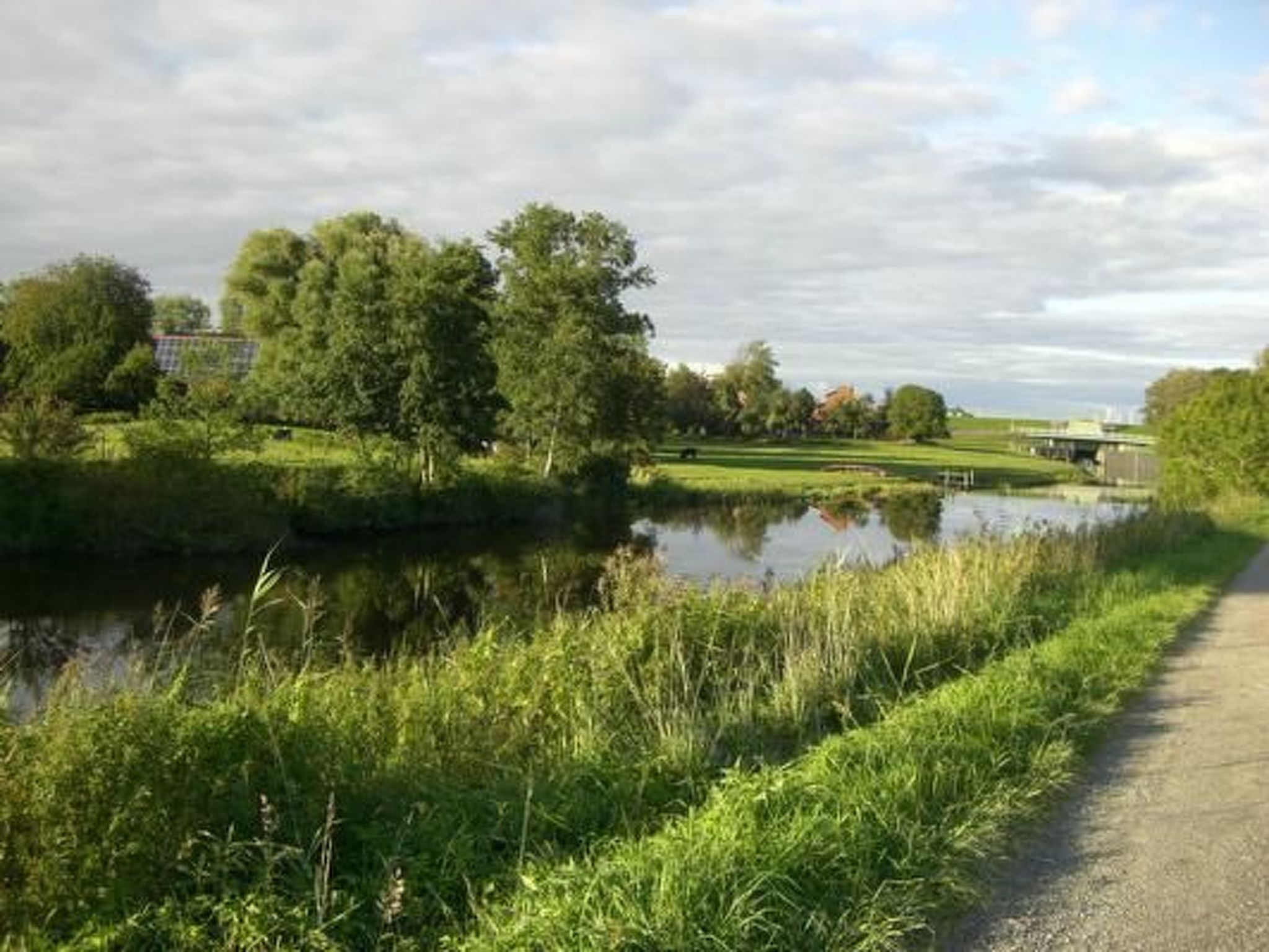 Haus Seehund-Image-tags.info