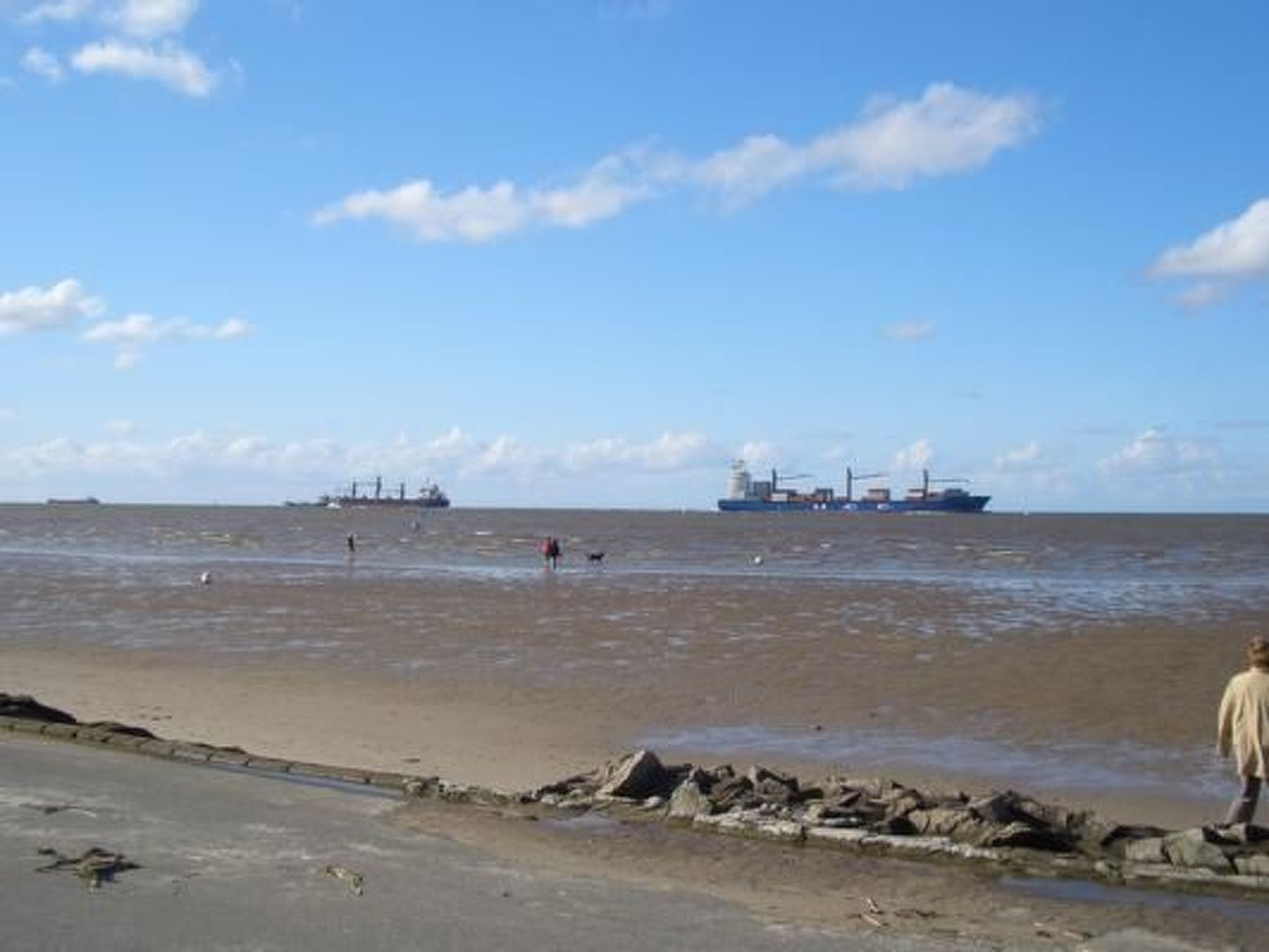 Haus Seehund-Image-tags.info