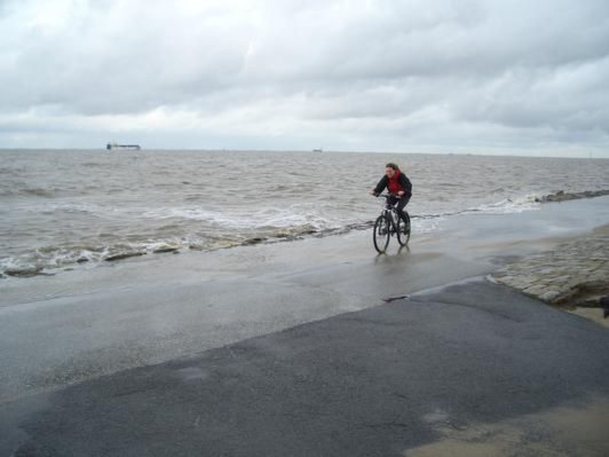 Haus Seehund-Image-tags.info