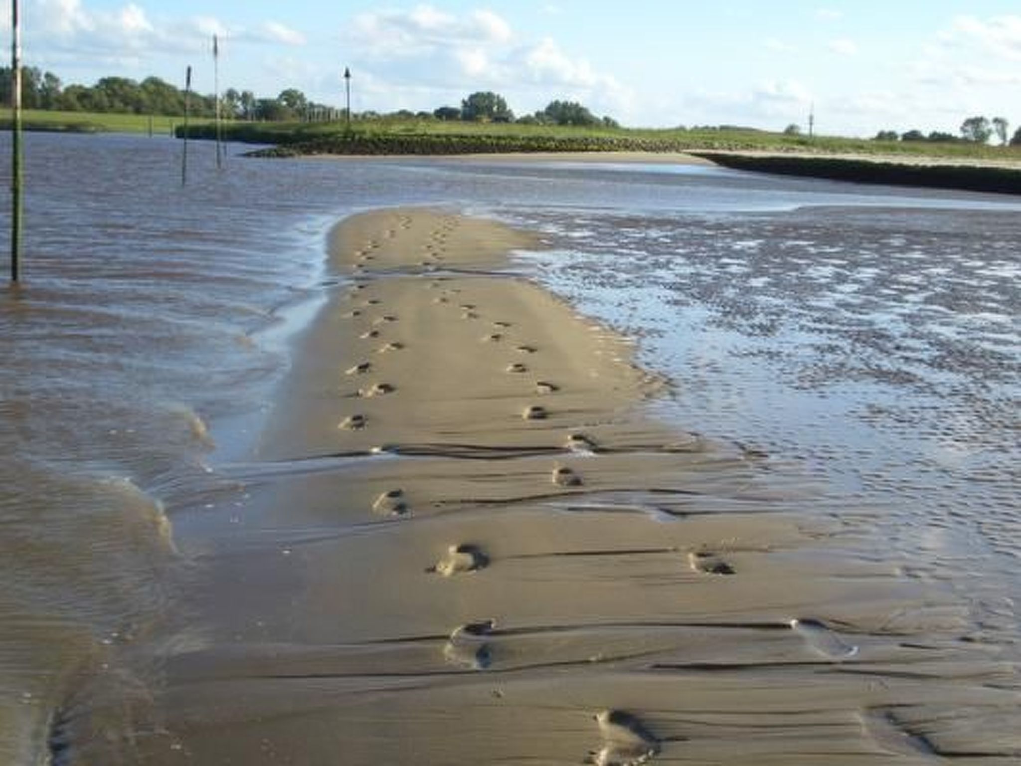 Haus Seehund-Image-tags.info