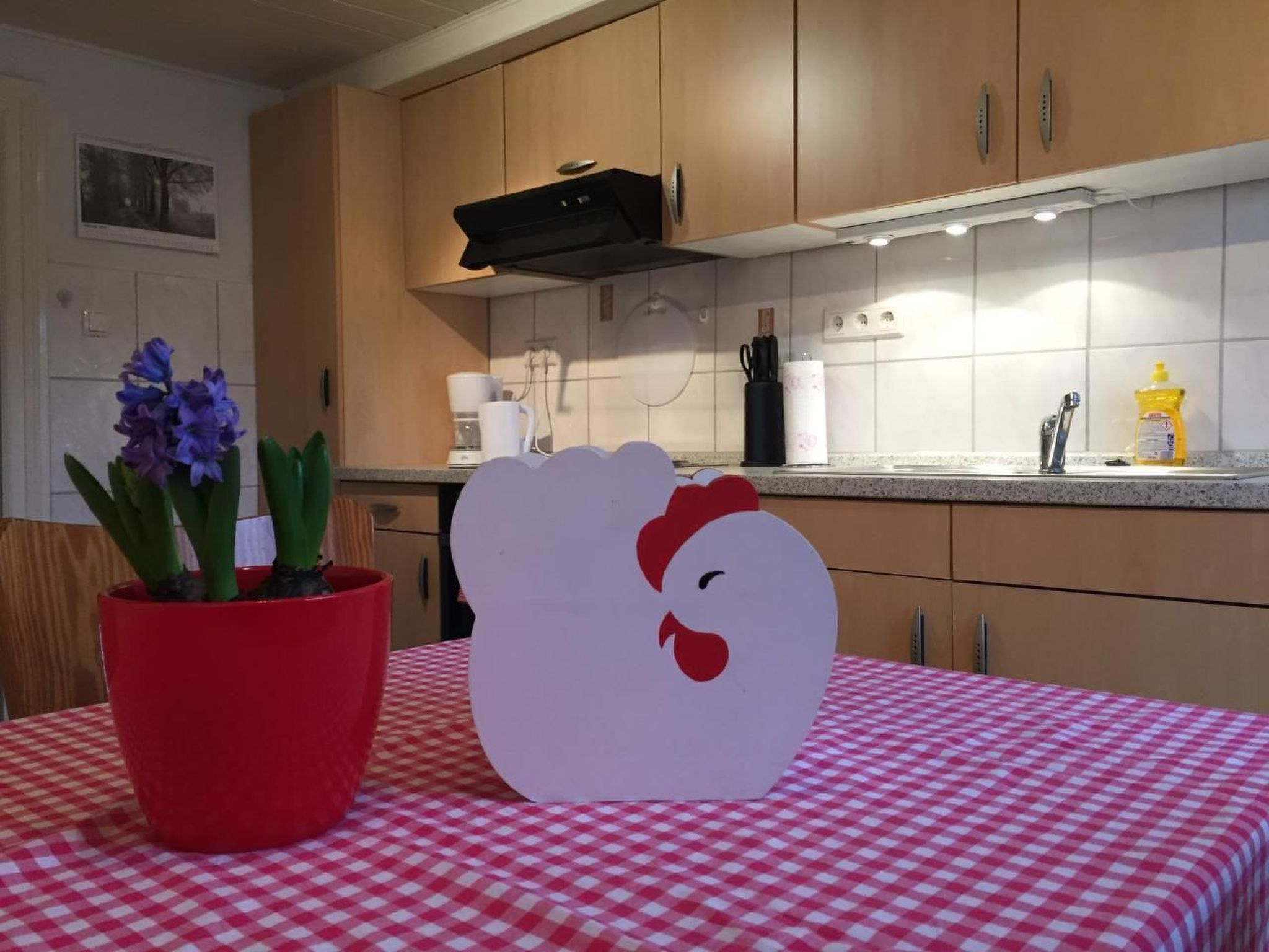 Wohnung in Norderteil mit Gemeinschaftsgarten-Image-tags.info