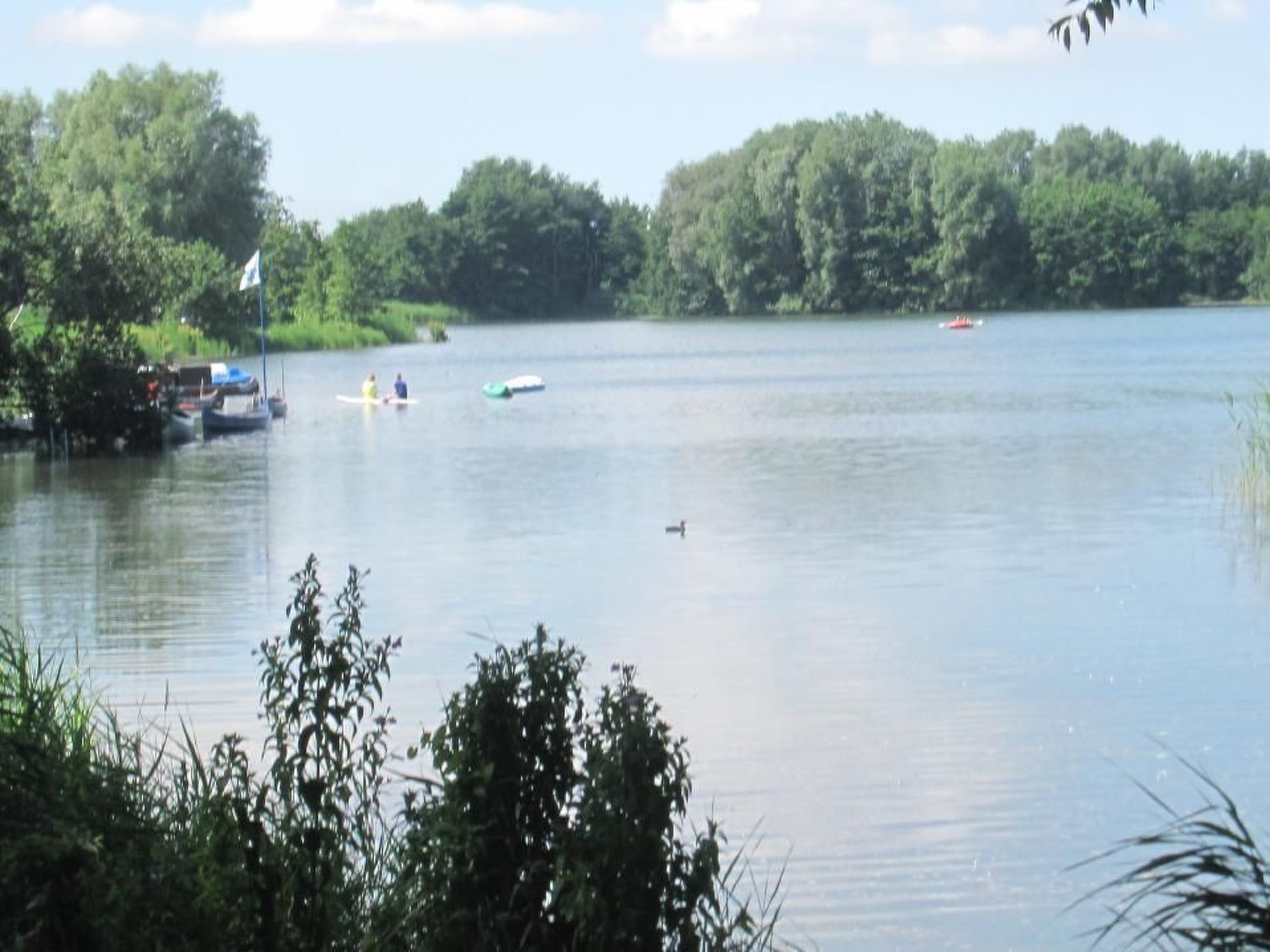 Wohnung in Norderteil mit Gemeinschaftsgarten-Image-tags.info