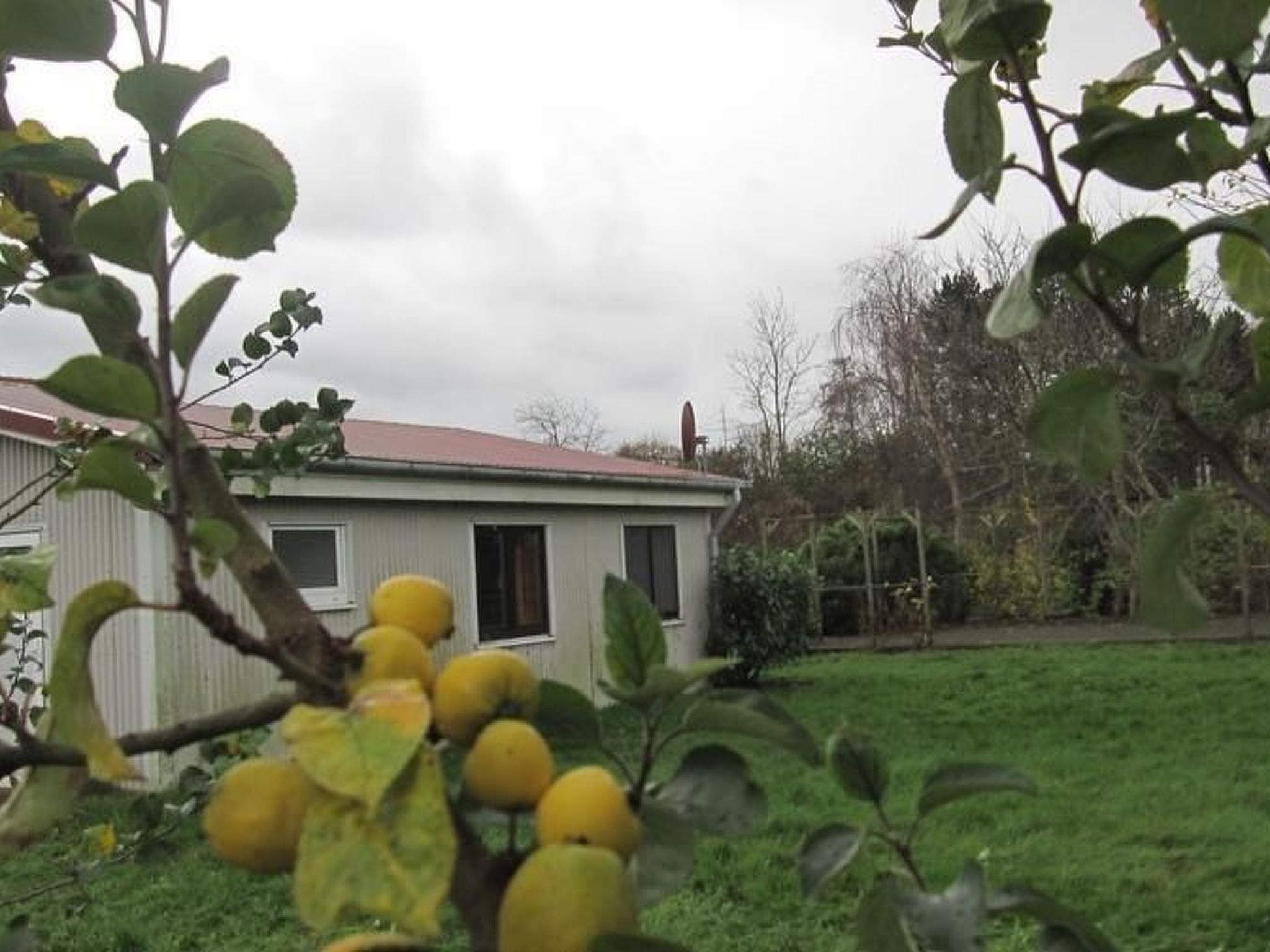 Großes Ferienhaus in Müggendorf mit Garten-Image-tags.info