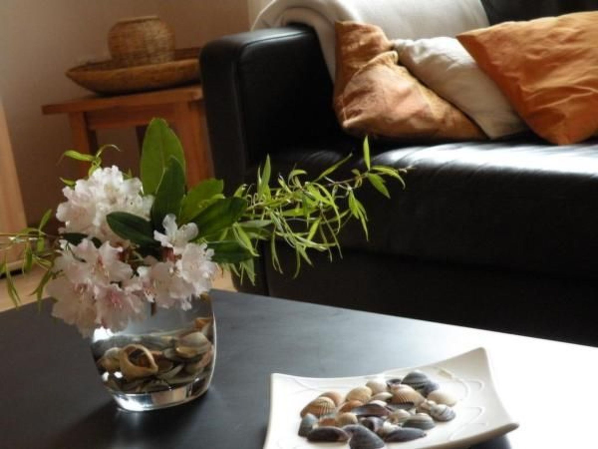 Altes Pastorenhus-Image-tags.info