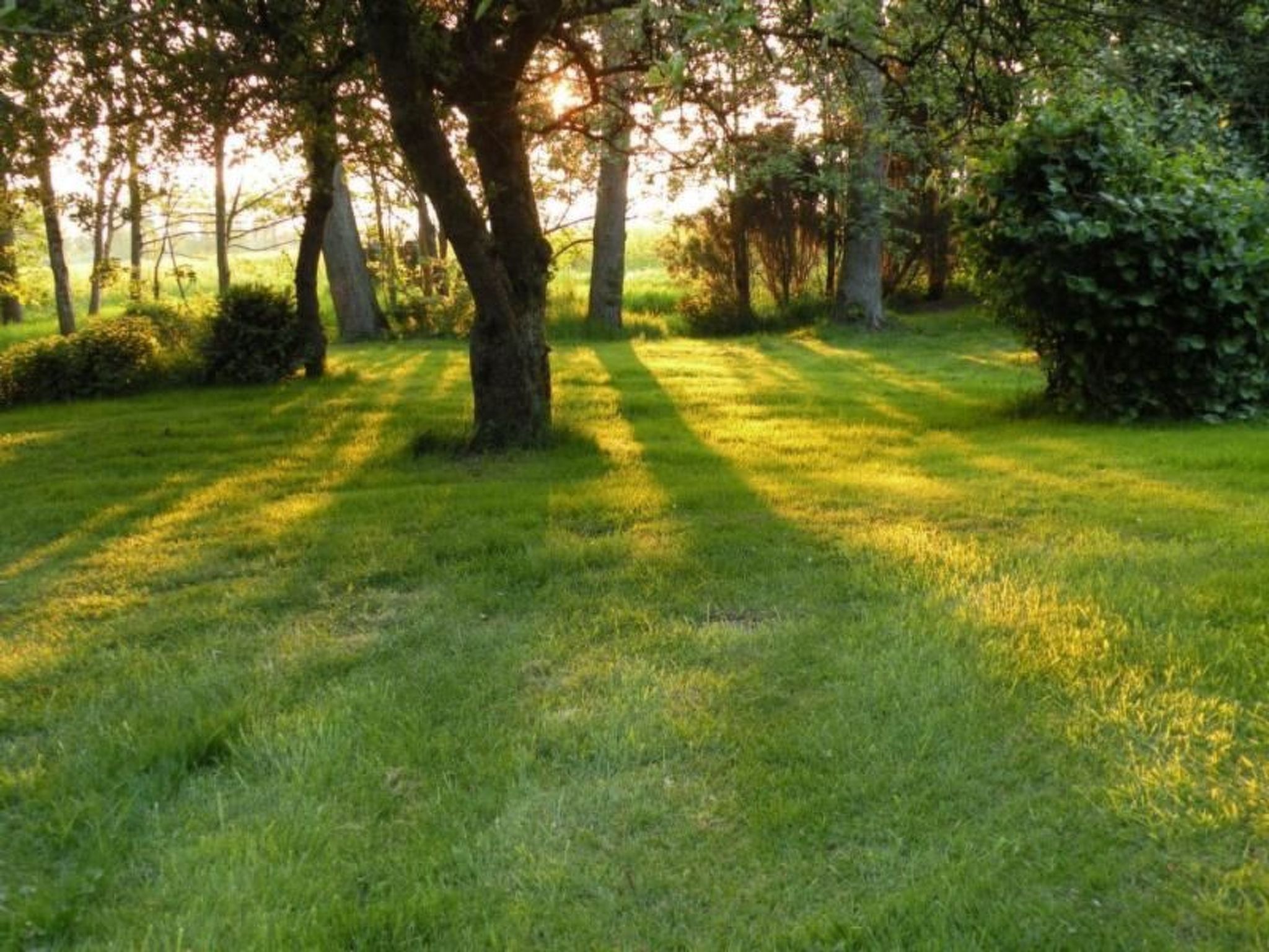 Altes Pastorenhus-Image-tags.info