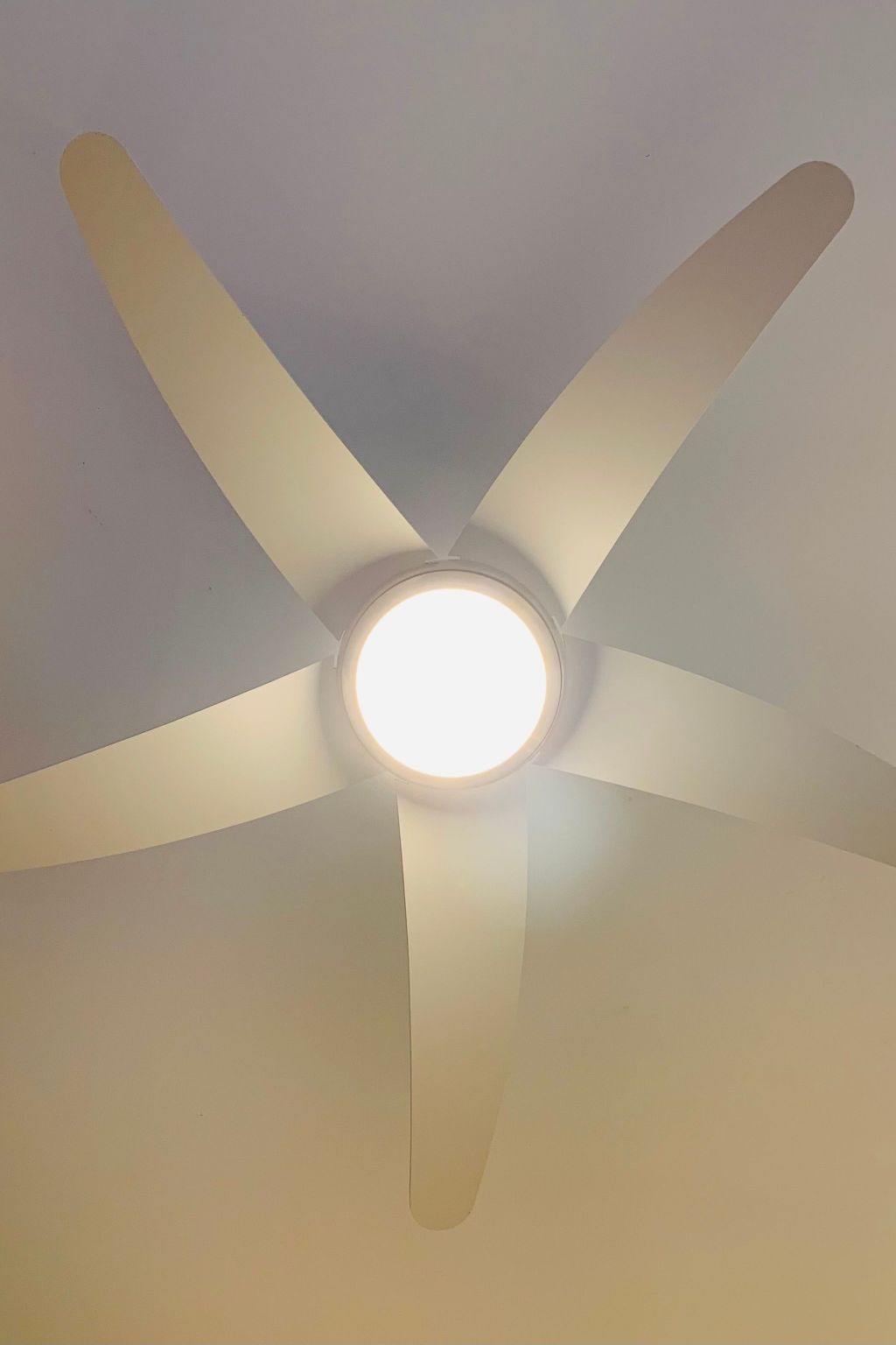 Wohnung in Duhnen und Meerblick-Image-tags.info