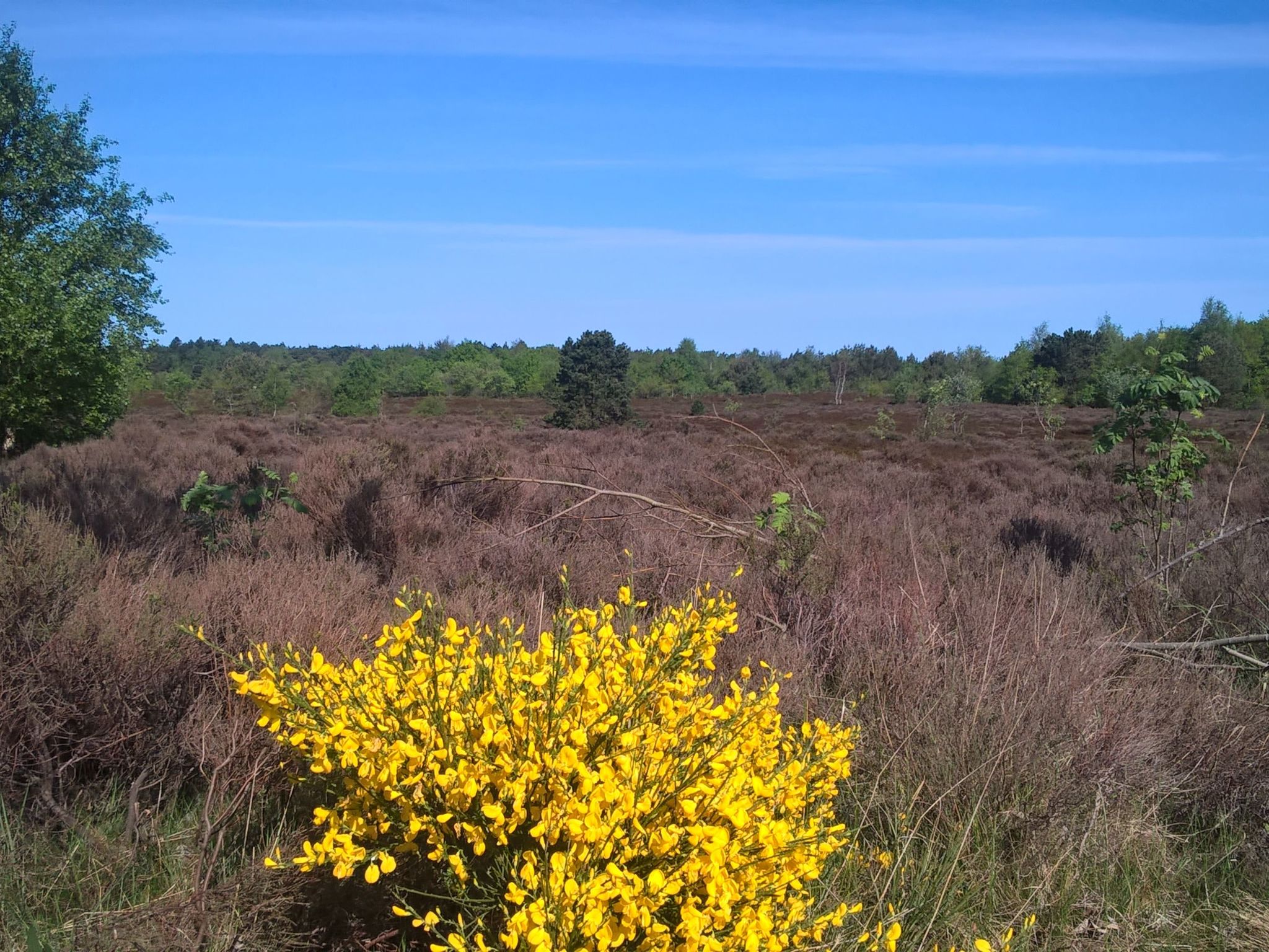 Große Ferienwohnung in Sahlenburg-Buiten