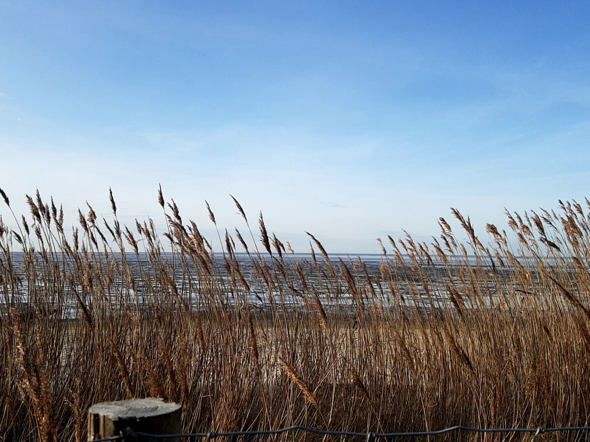 Große Ferienwohnung in Sahlenburg-Buiten