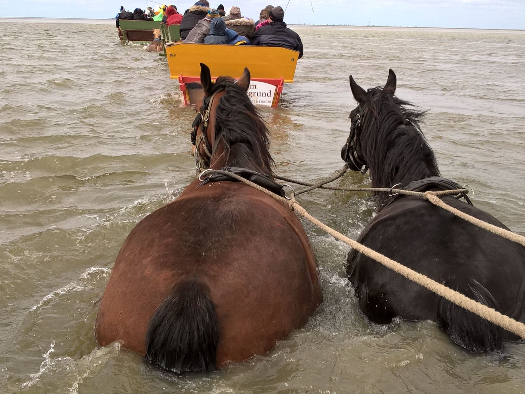 Große Ferienwohnung in Sahlenburg-Image-tags.info