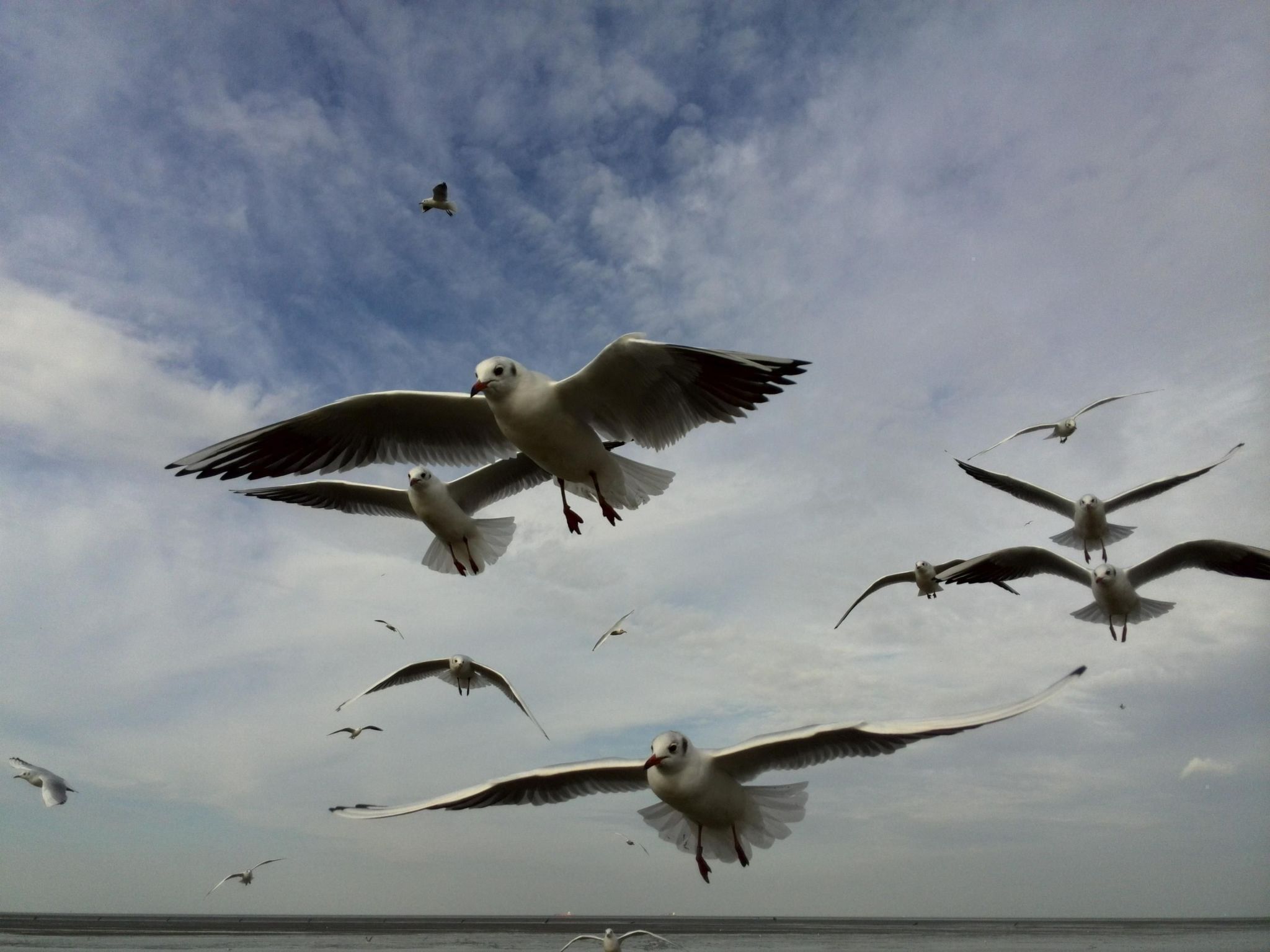 Sonniges Ferienhaus hinter dem Deich-Binnen