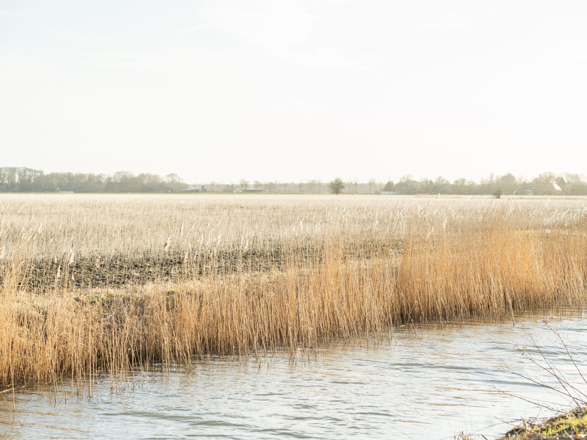 Die entspannteste FeWo an der Nordseeküste - Sauna-Image-tags.info