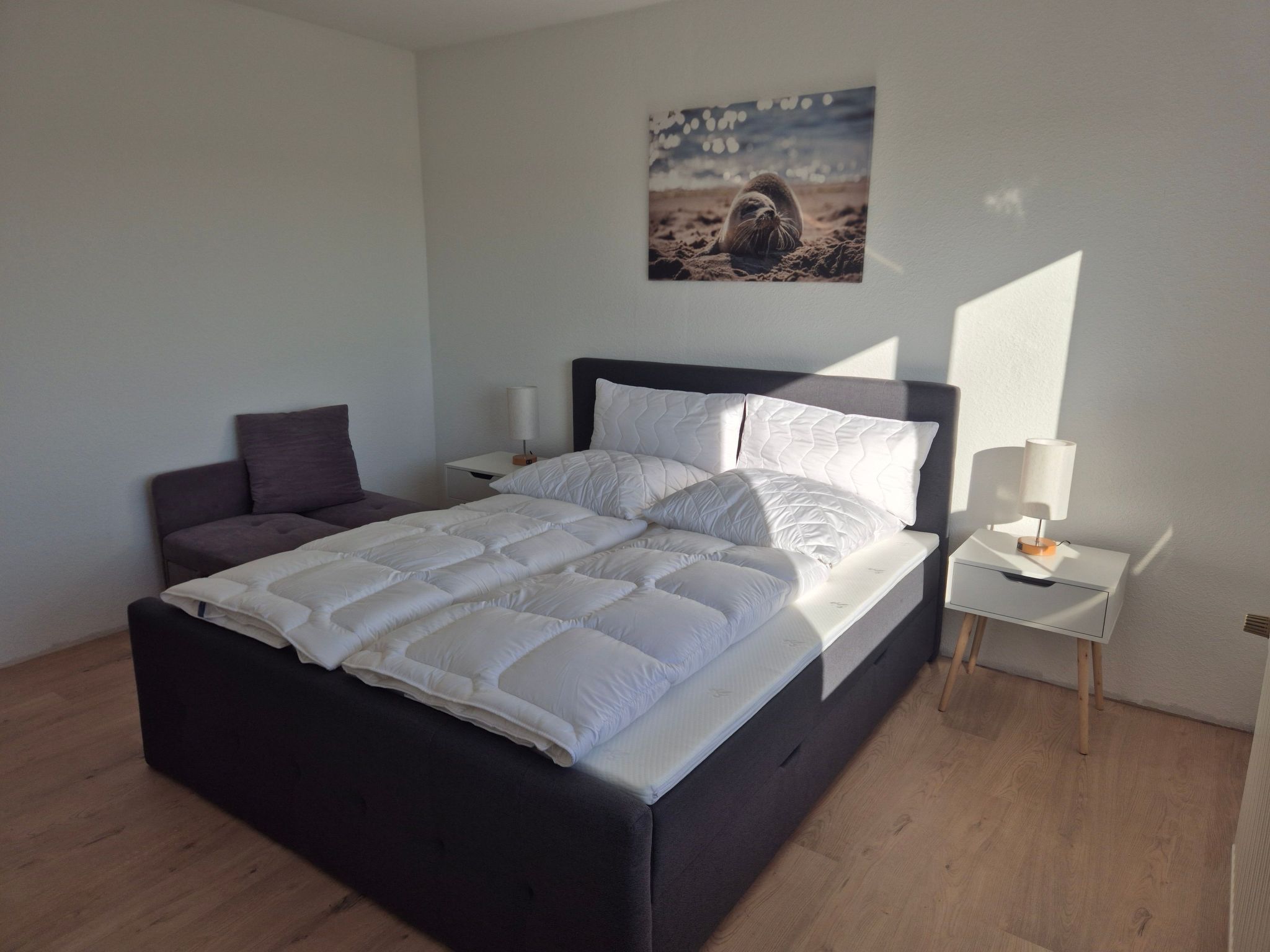 Fewo Kleine Robbe-Image-tags.info