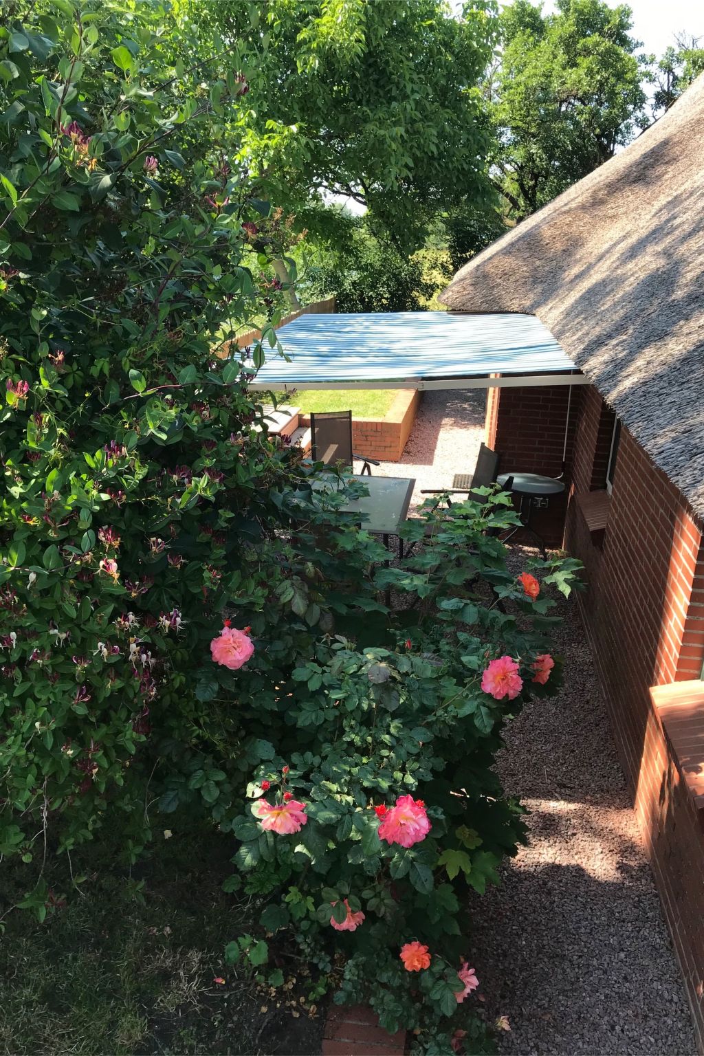 Gemütliches Reetdachhaus in Schleswig-Holstein-Binnen