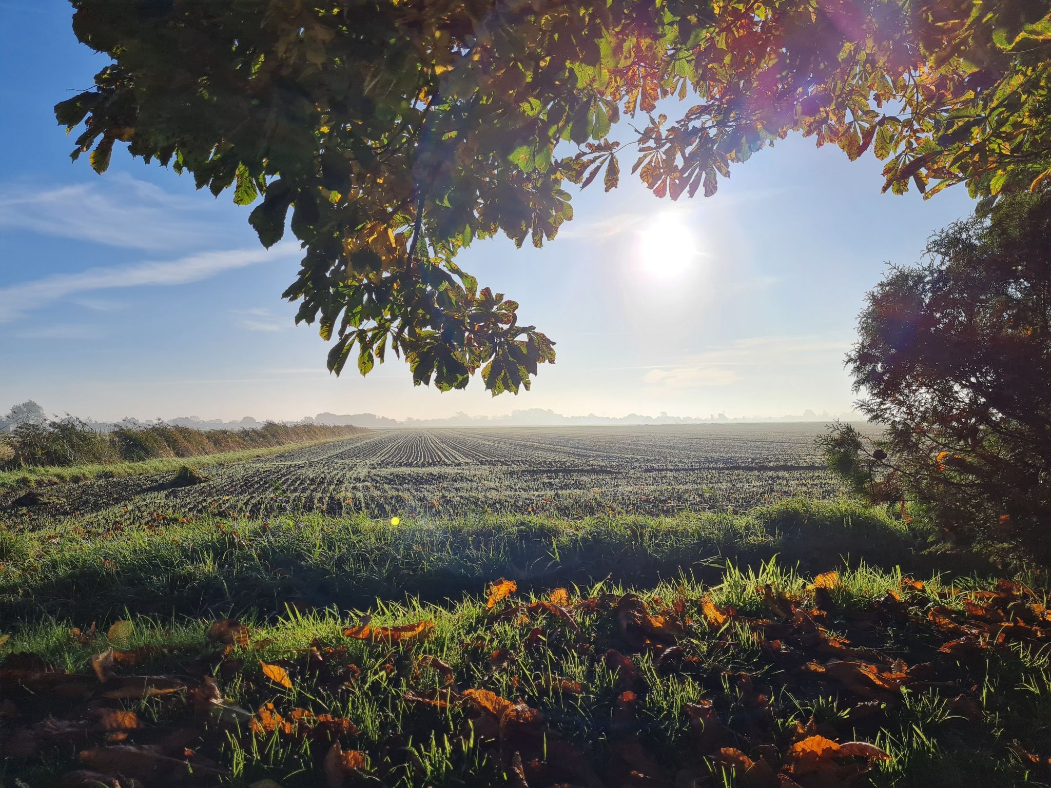 Reetdachhaus Petra-Binnen