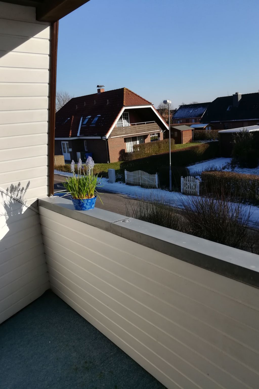 FeWo Austernfischer-Binnen