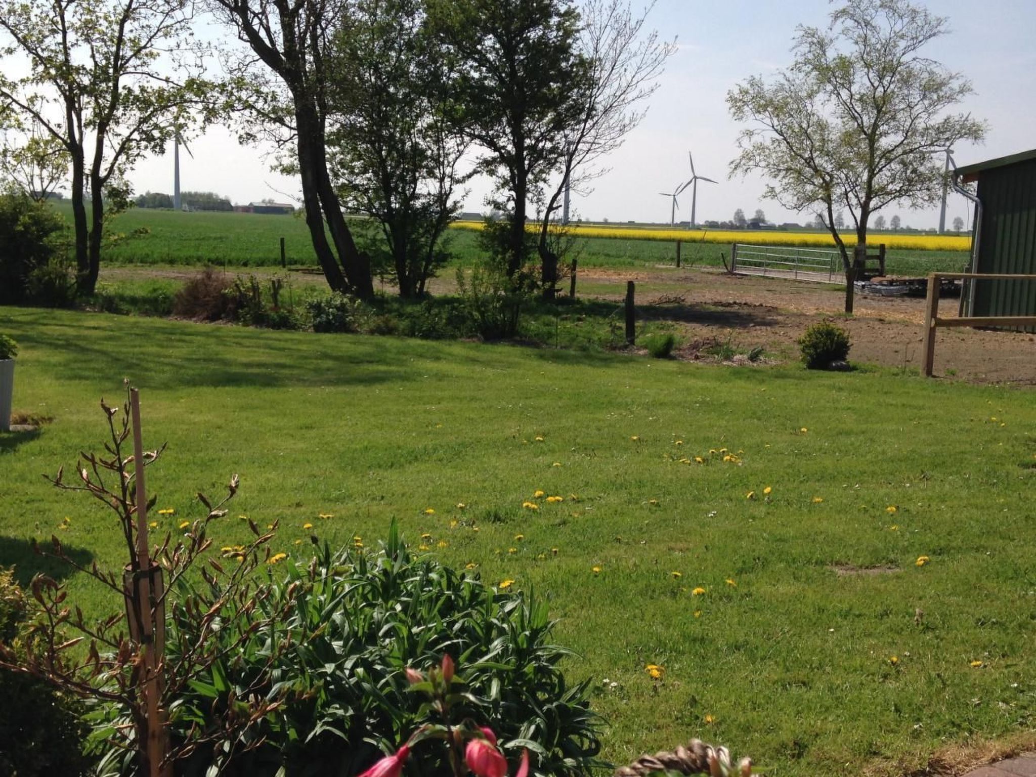 Alter Kuhstall-Binnen