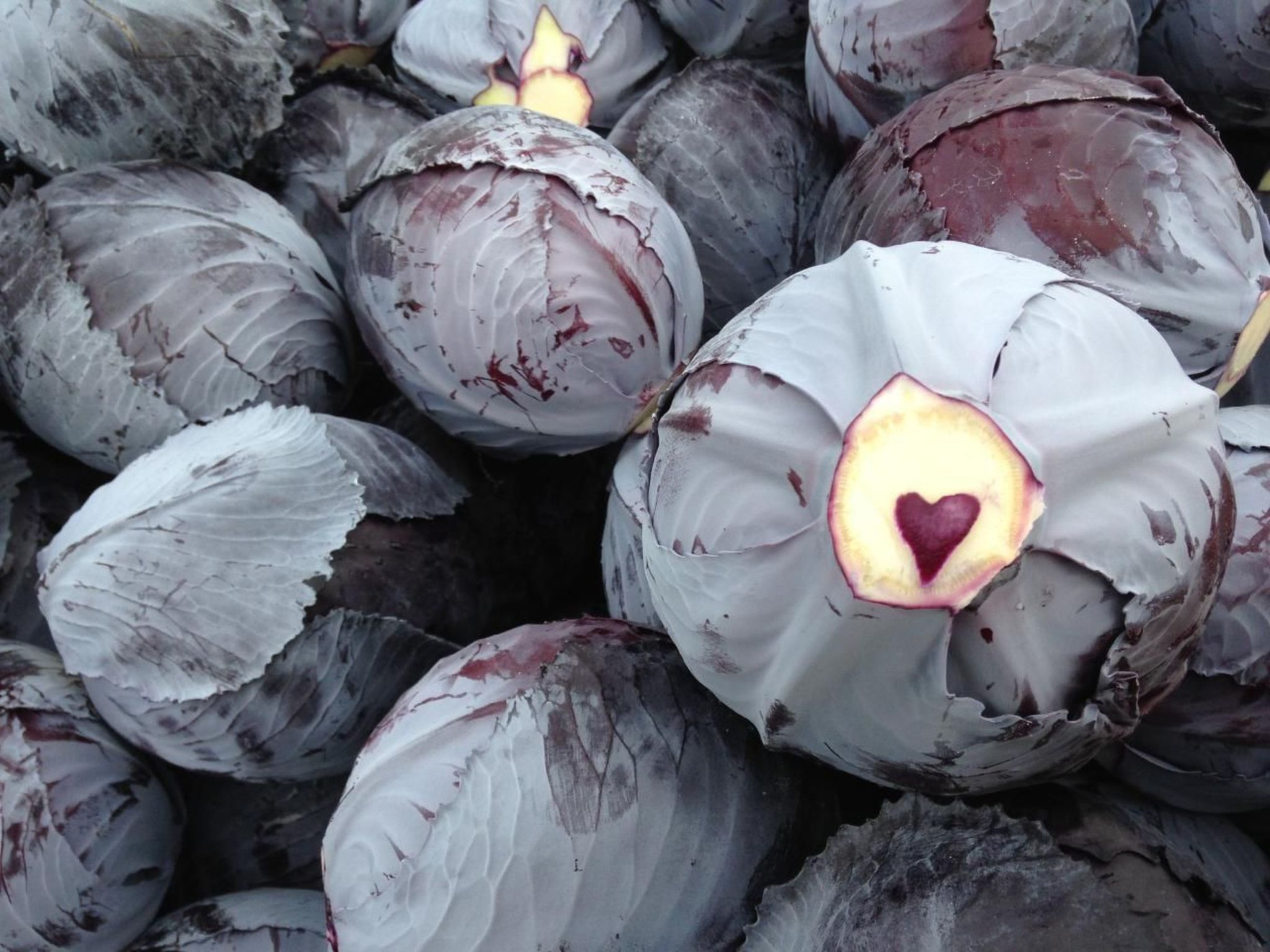 Alter Kuhstall-Binnen