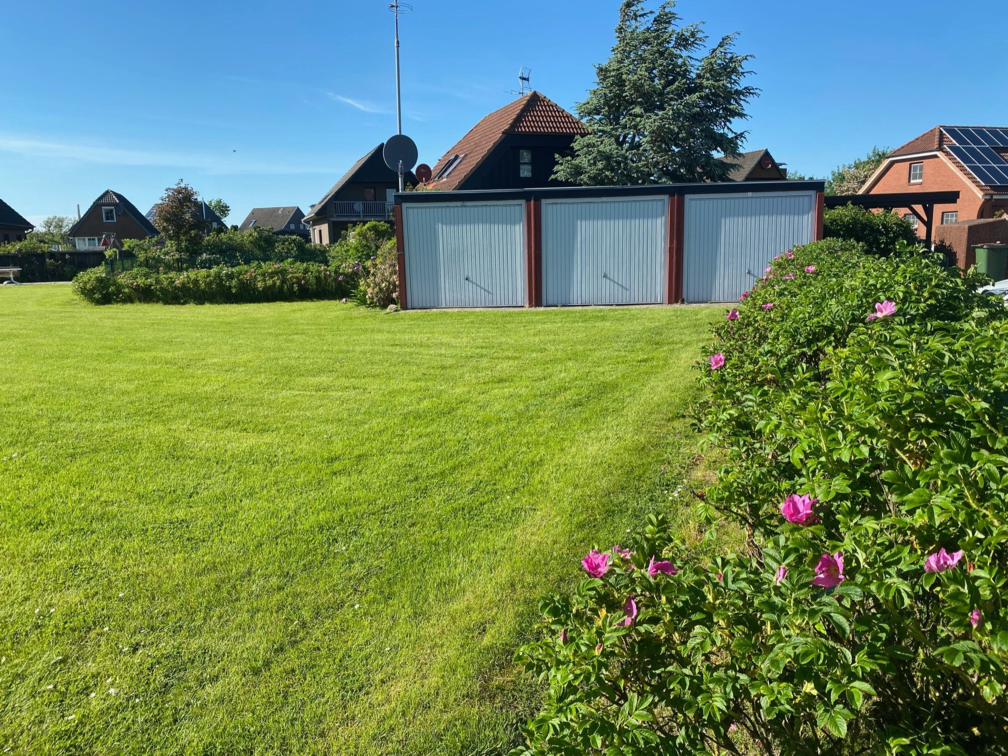 Heimathafen Friko-Binnen