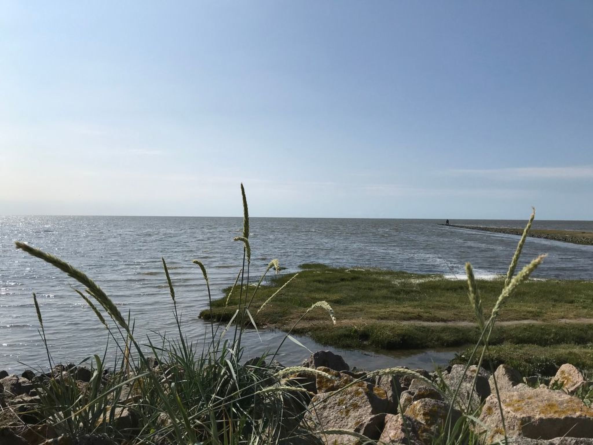 De Seekobb-Image-tags.info