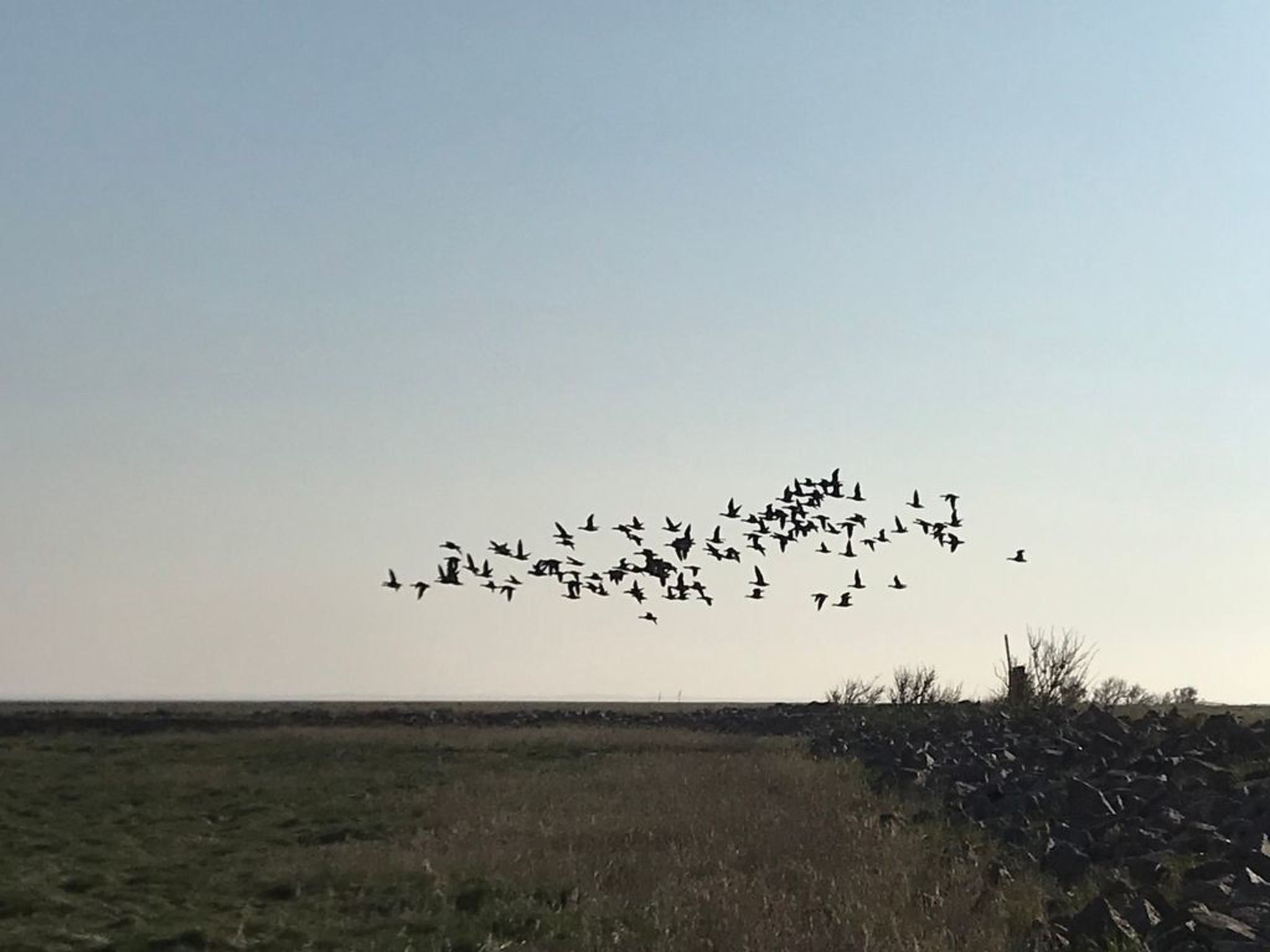 De Seekobb-Image-tags.info