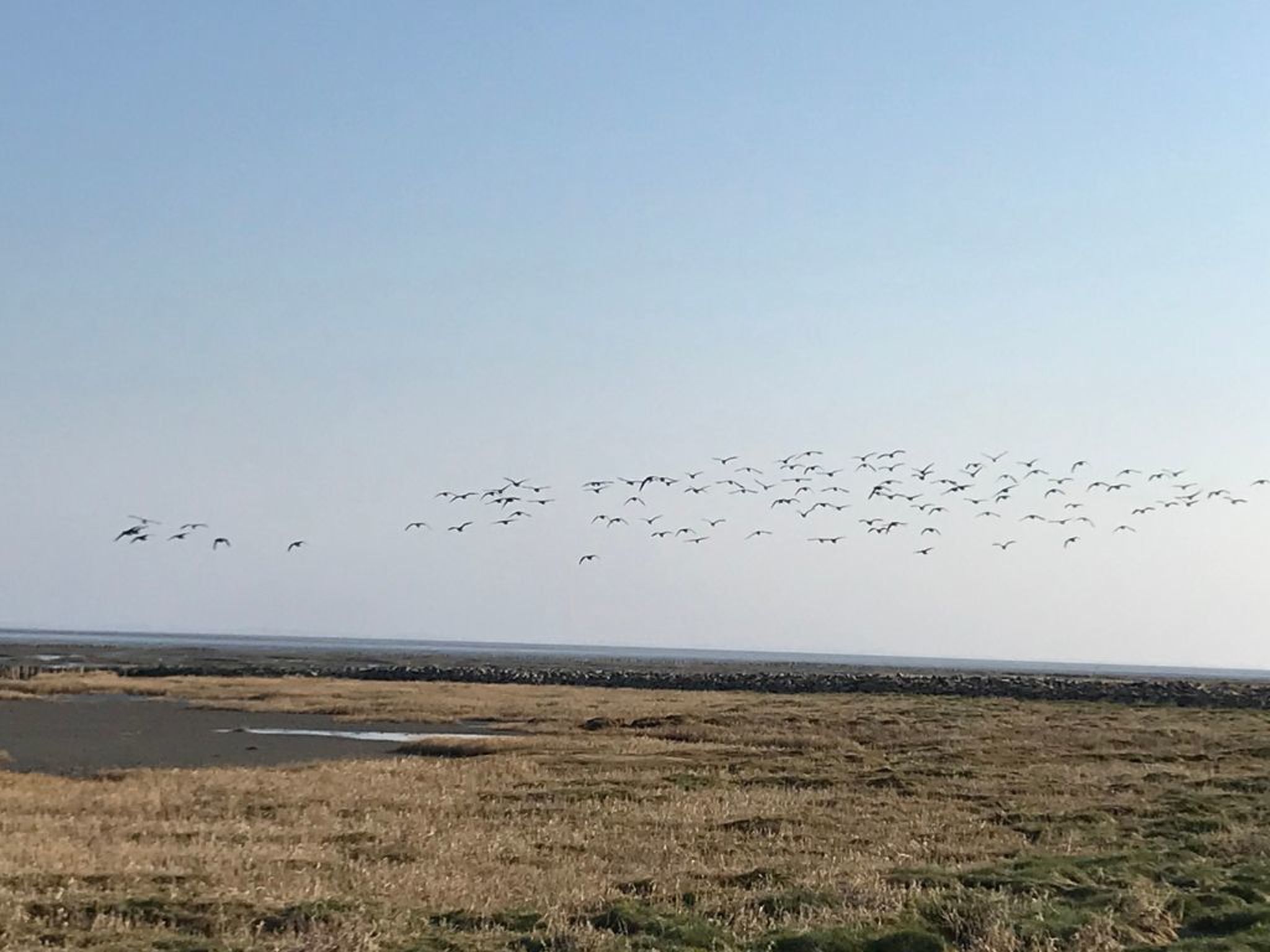 De Seekobb-Image-tags.info