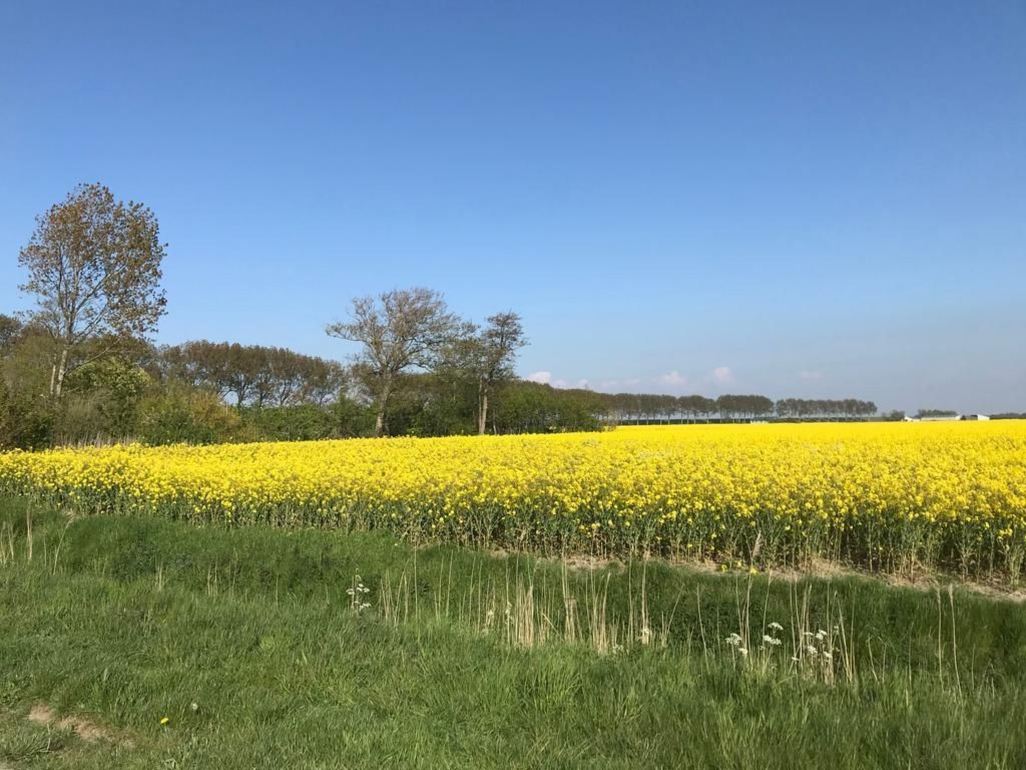 De Seekobb-Image-tags.info