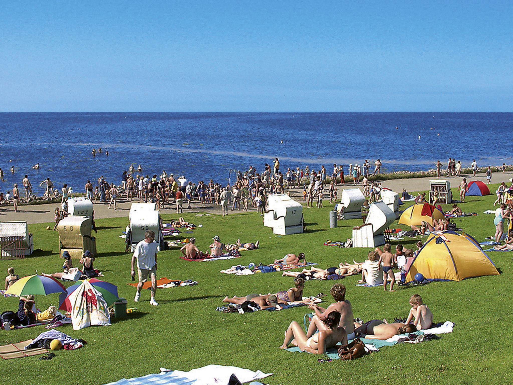 Watt in Friedrichskoog-Spitze-Environnement