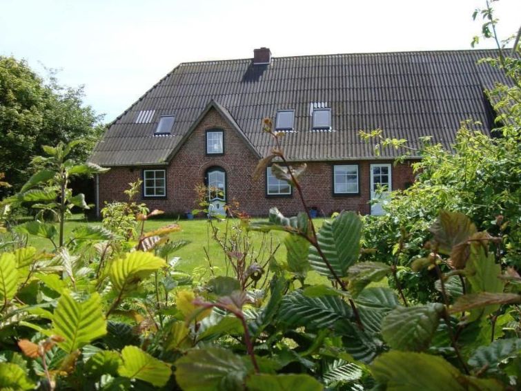 Röhe