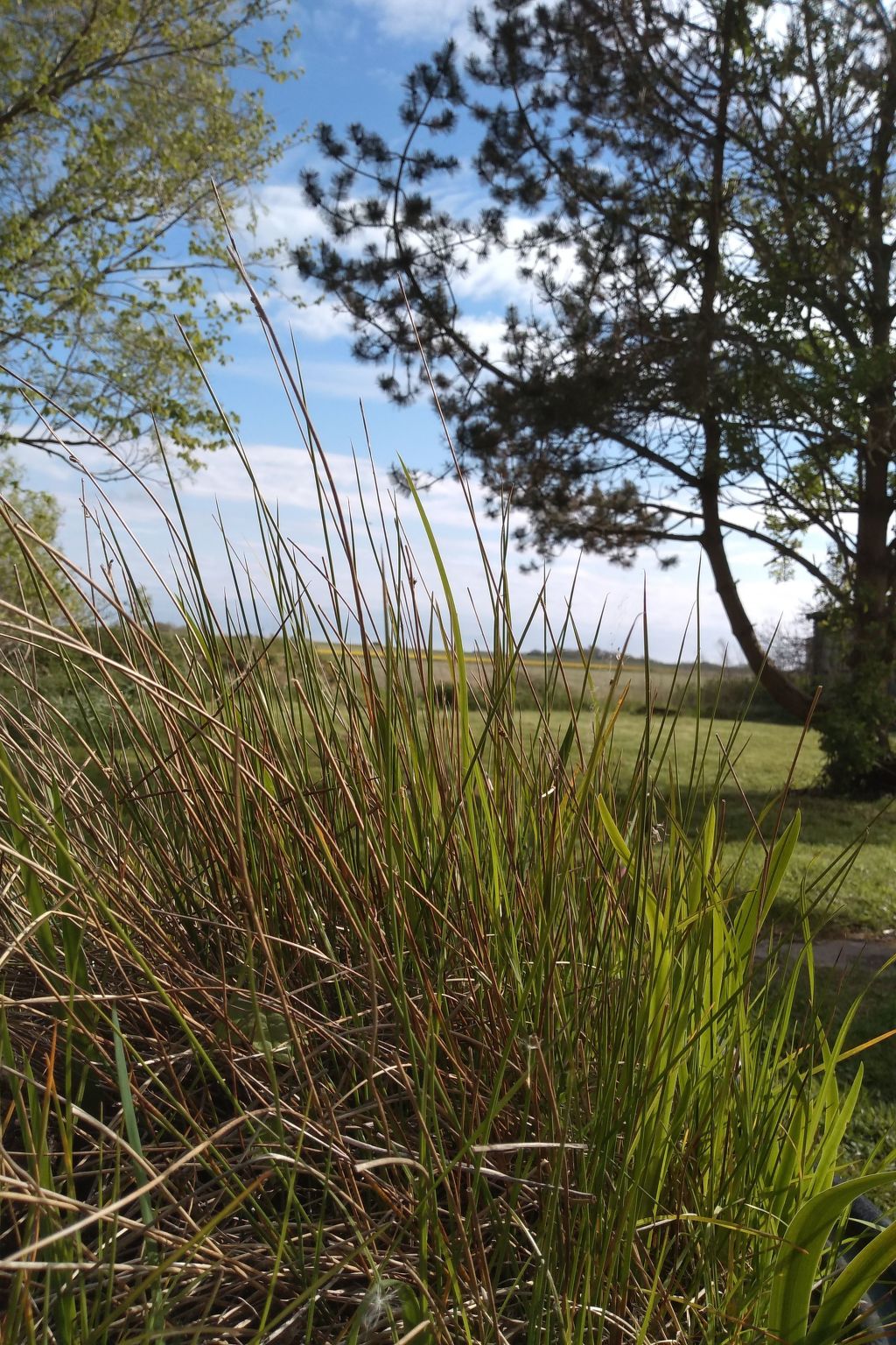 Röhe-Image-tags.info