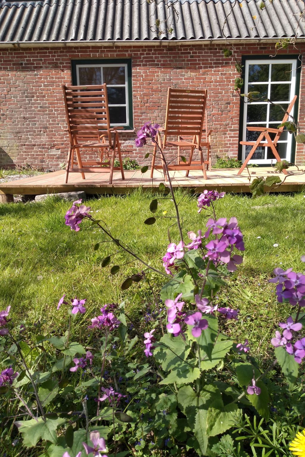 Röhe-Image-tags.info