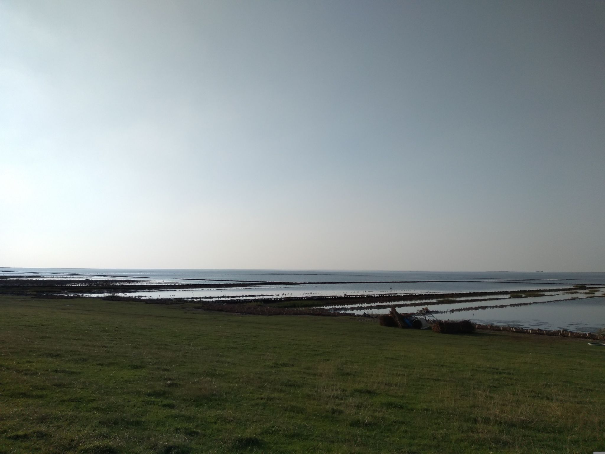 Röhe-Image-tags.info