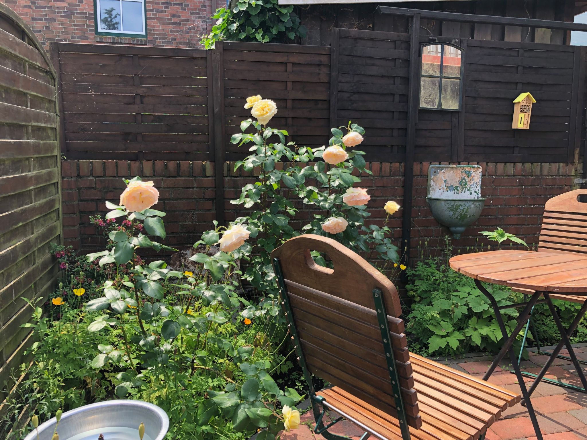 Altstadthus - gemütliches Ferienhaus mit romantischem Garten-Image-tags.info