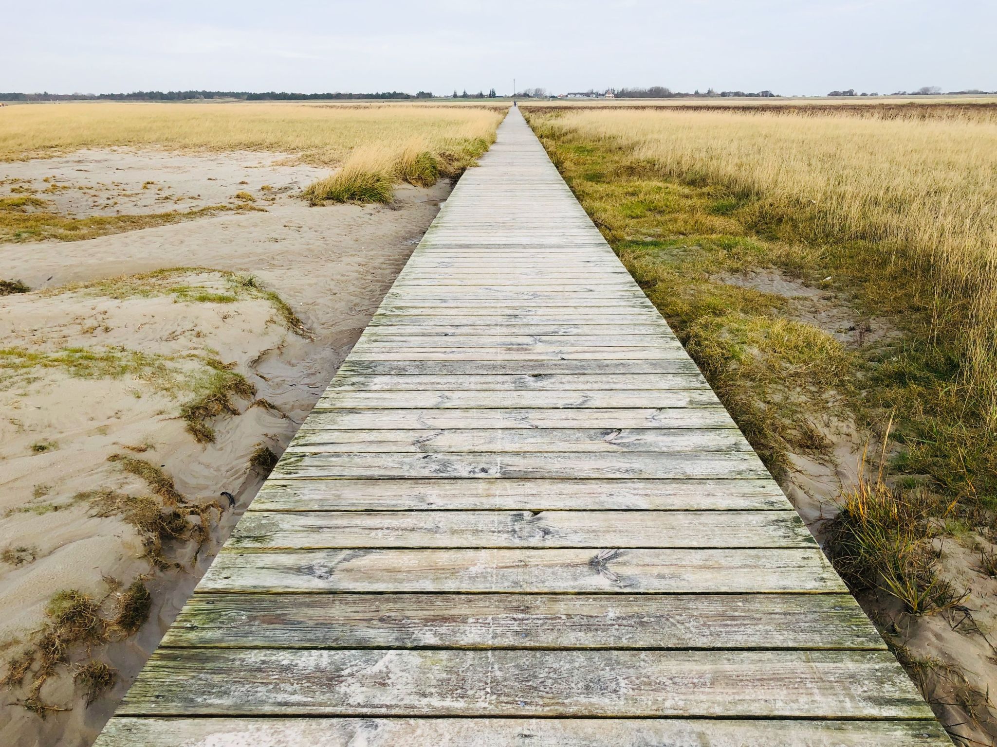 Altstadthus - gemütliches Ferienhaus mit romantischem Garten-Image-tags.info