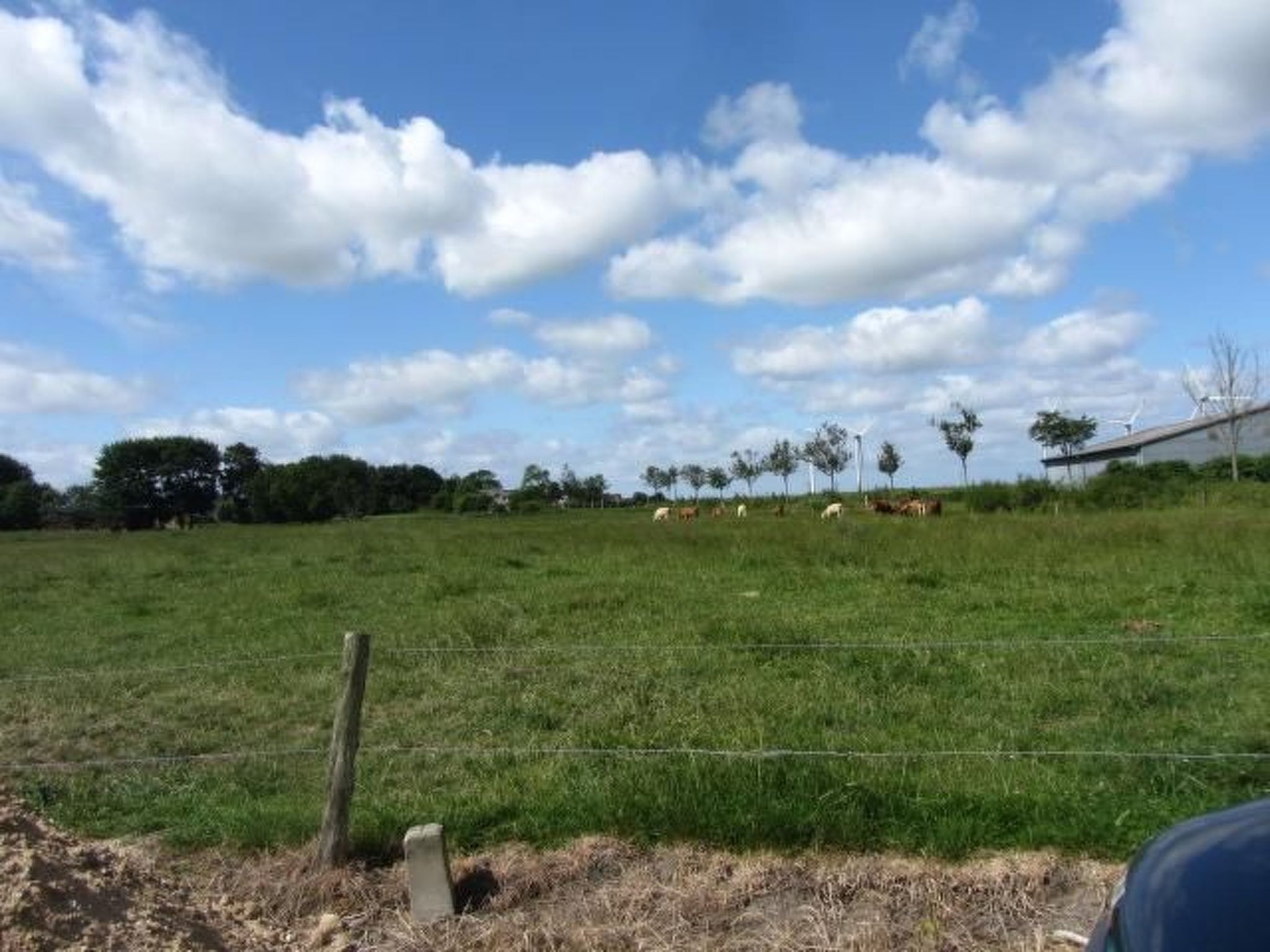 Sonnige Ferienwohnung in ländlicher Umgebung-Binnen