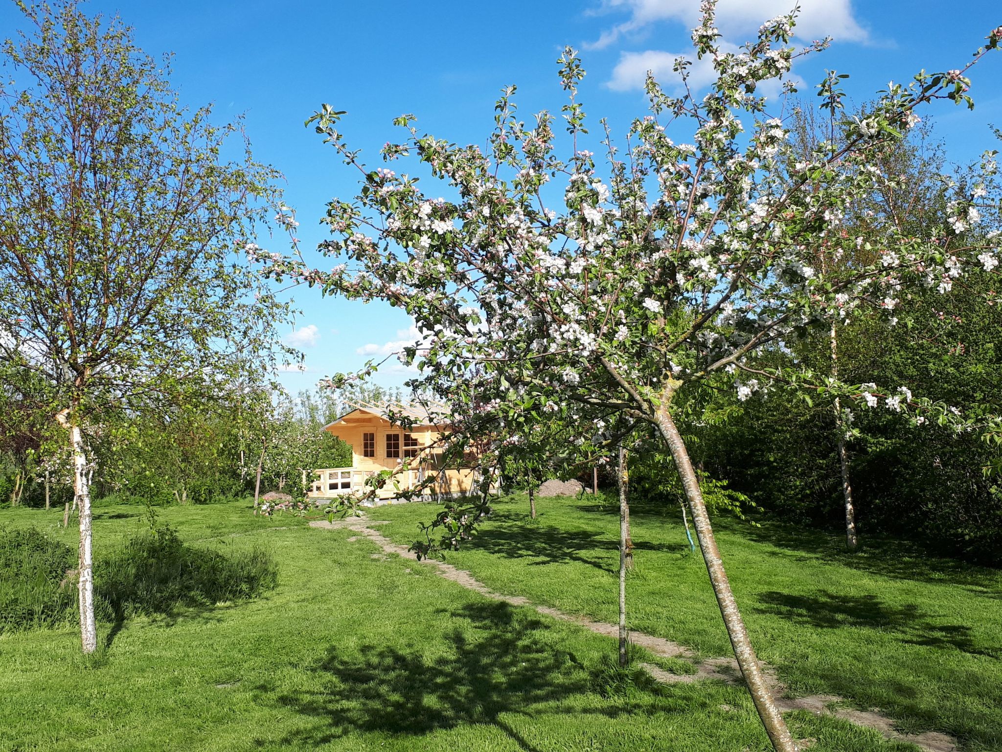 Sonnige Ferienwohnung in ländlicher Umgebung-Binnen