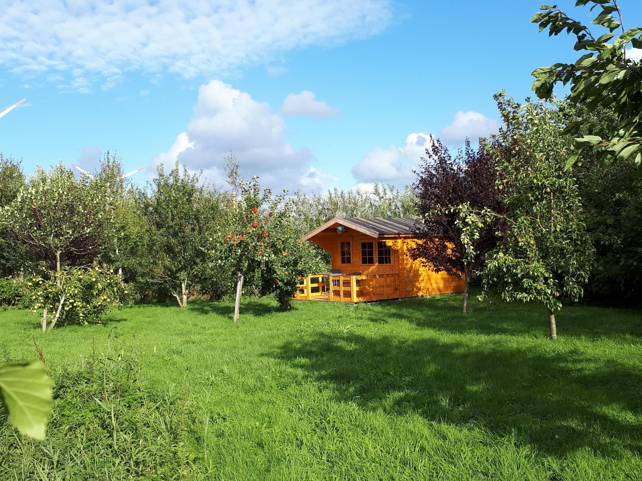 Sonnige Ferienwohnung in ländlicher Umgebung-Binnen
